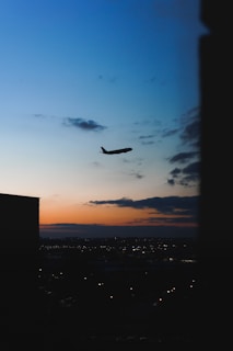 silhouette of bird flying over the city during sunset