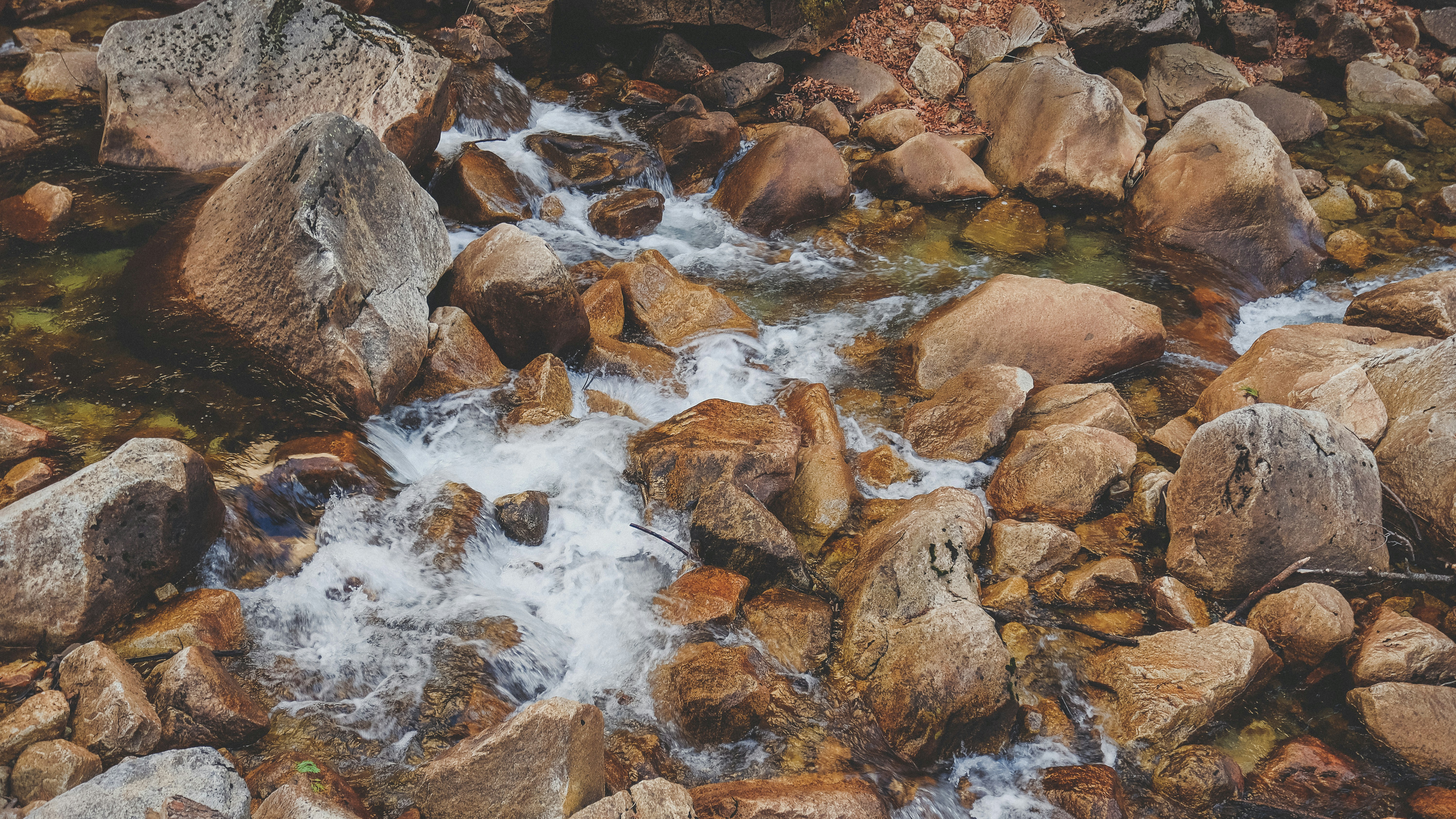 Photo by cys_escapes