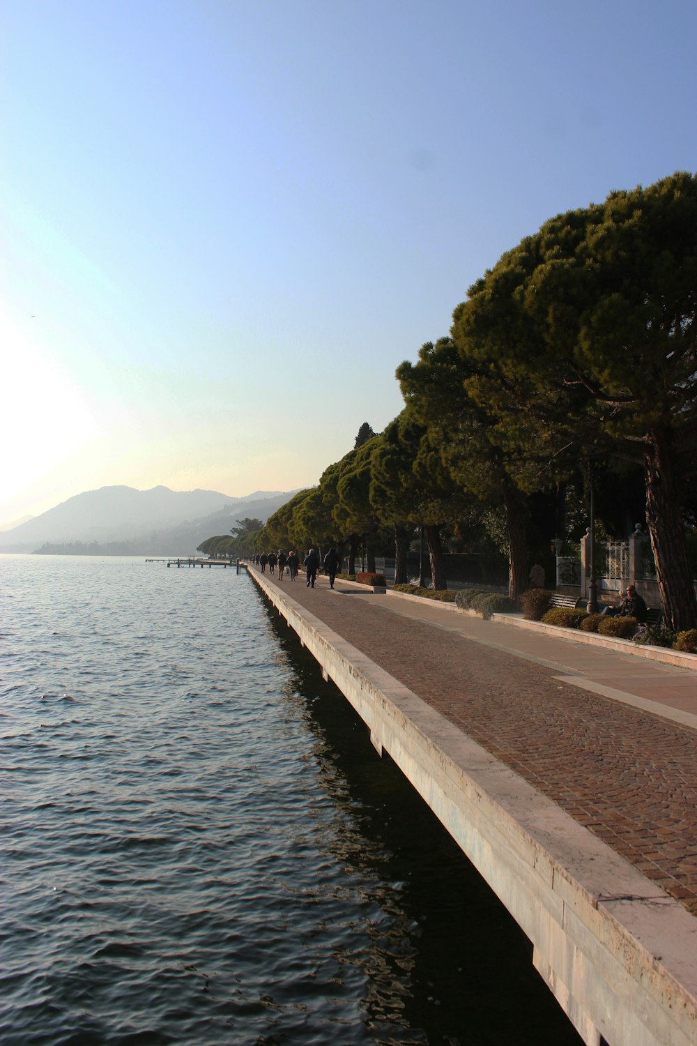 people walking on sidewalk near body of water during daytime