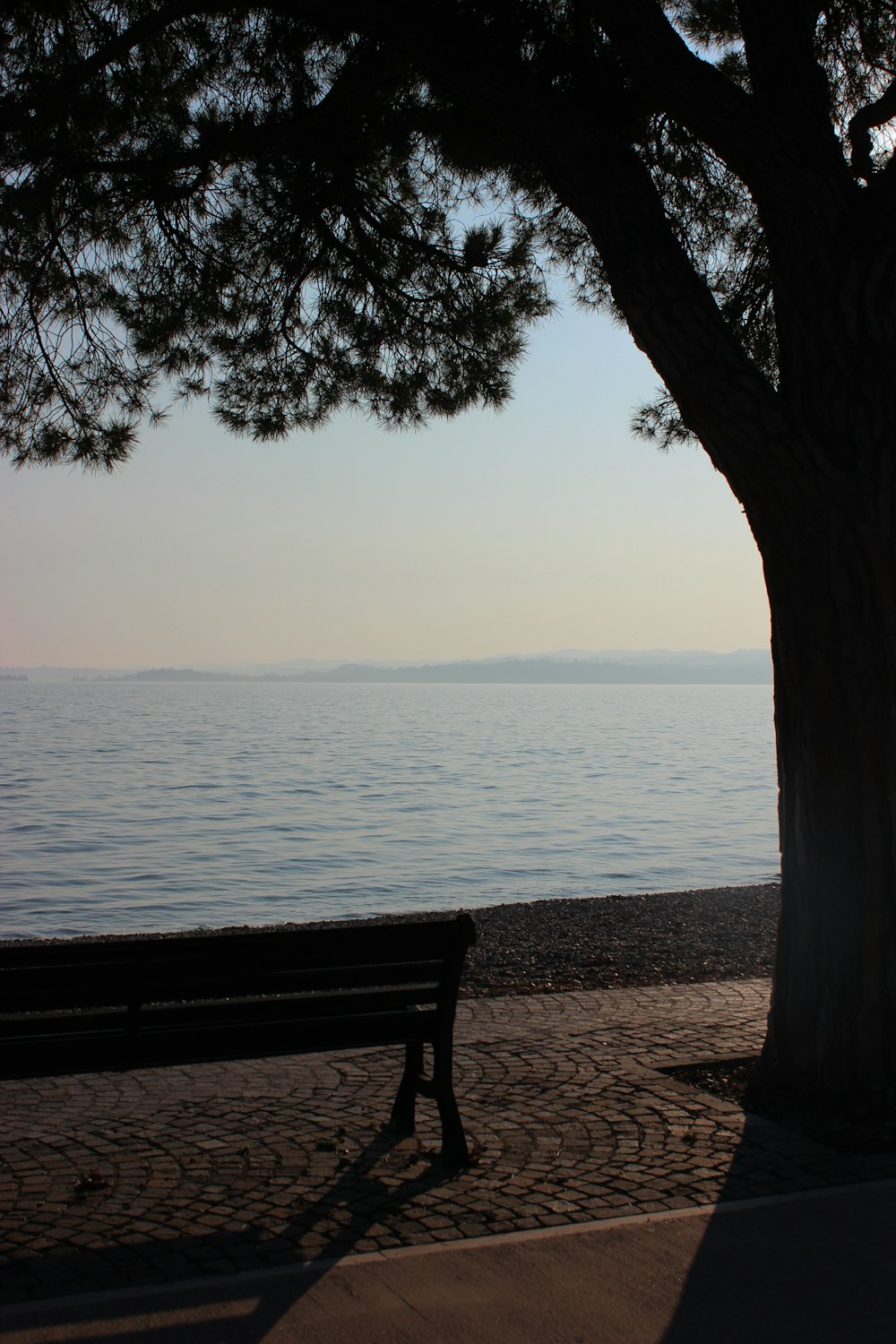 brown wooden bench near body of water during daytime