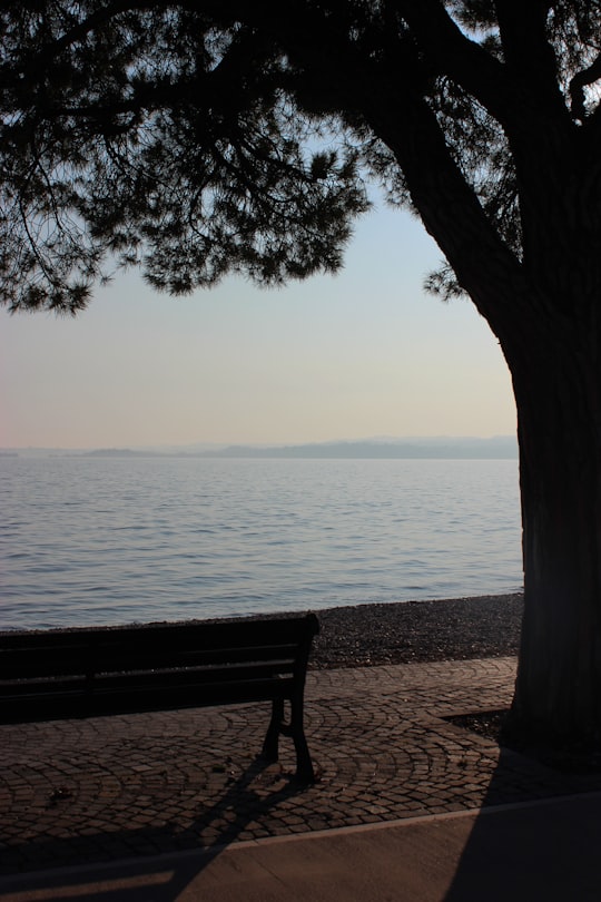brown wooden bench near body of water during daytime in Lago di Garda Italy