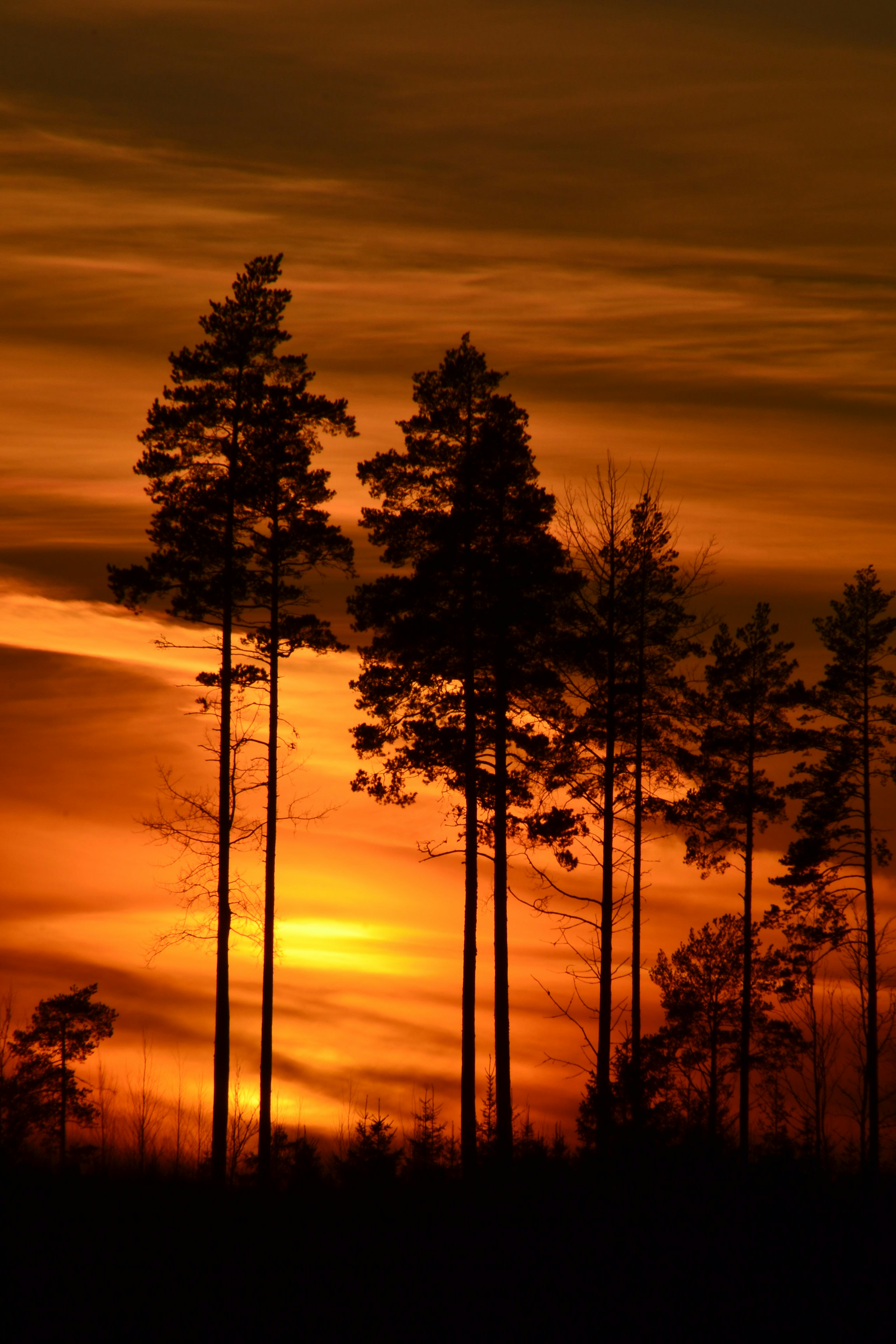 Photo by annikakutsar
