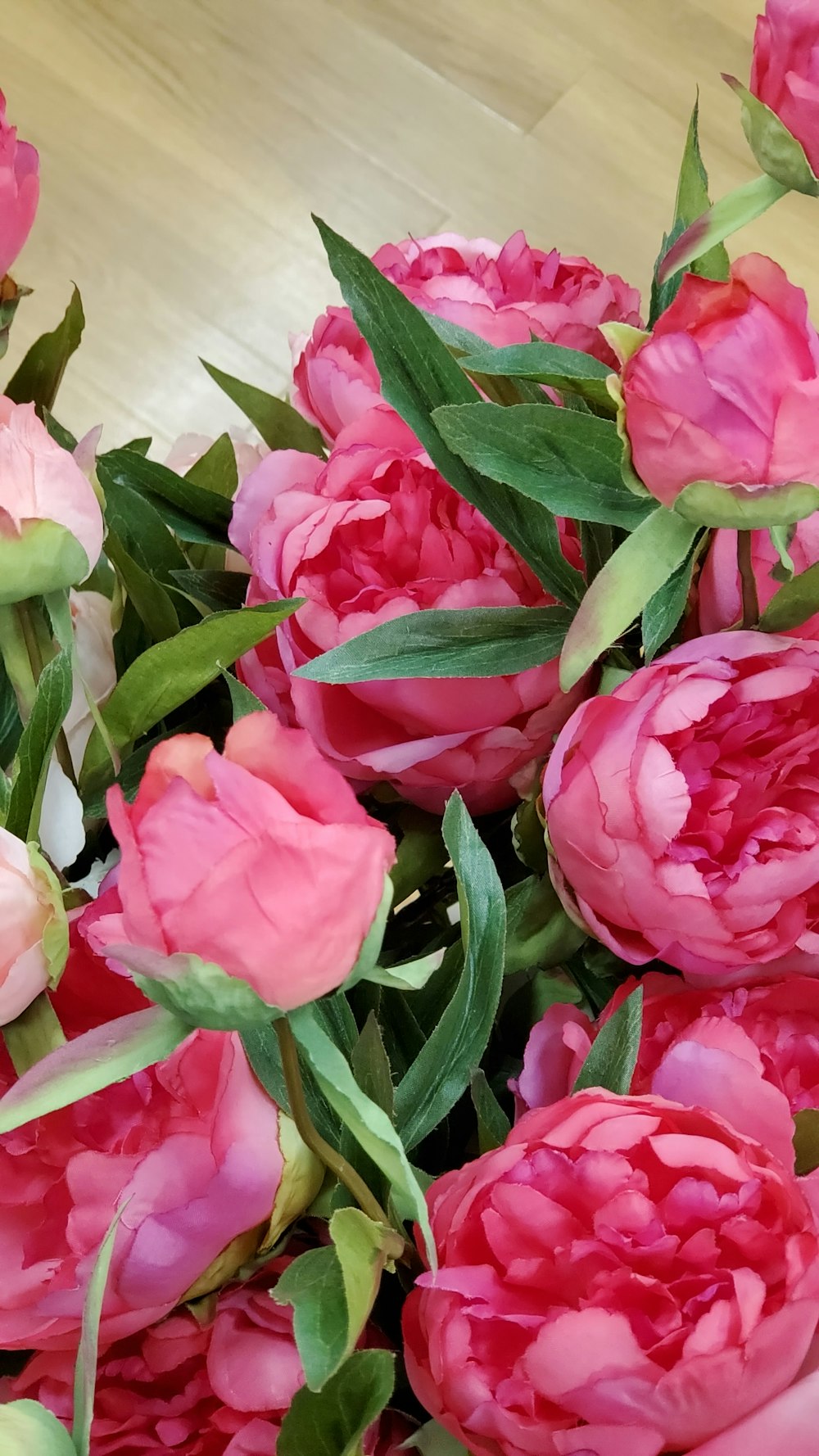 pink tulips in bloom during daytime