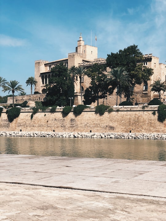 white concrete building near body of water during daytime in Catedral-Basílica de Santa María de Mallorca Spain