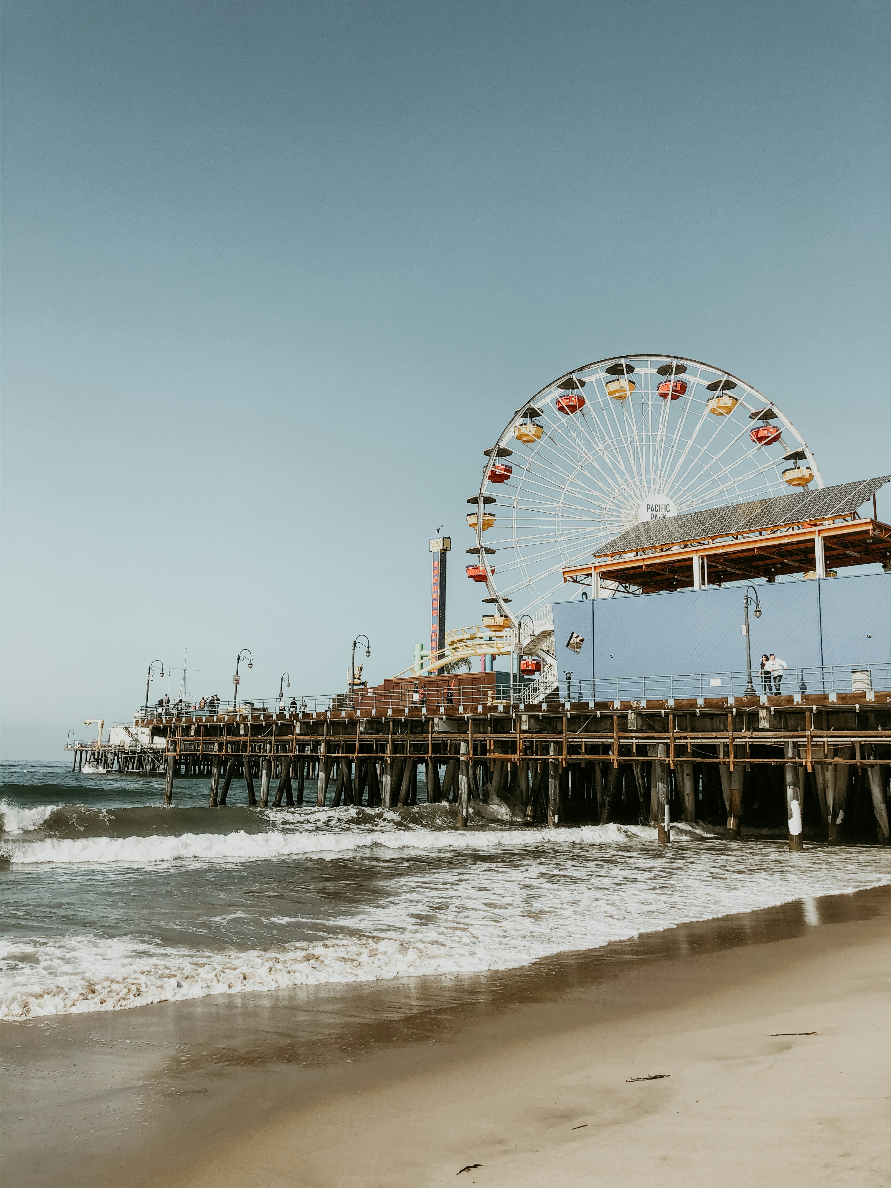 people on beach during daytime