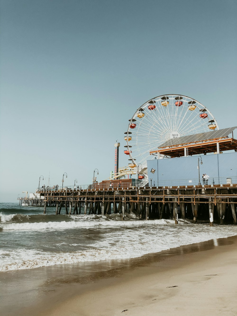 people on beach during daytime