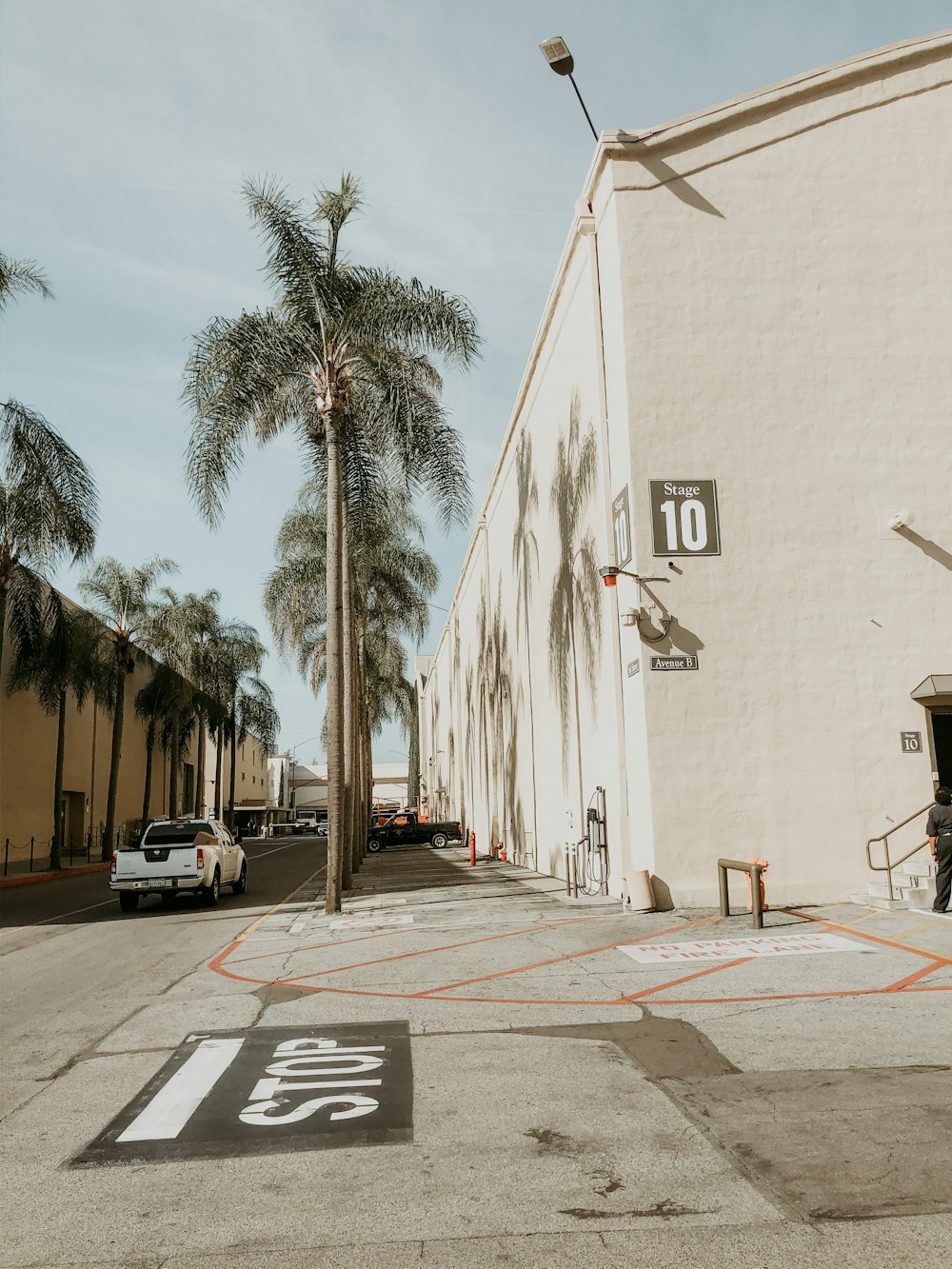 cars parked on side of the road near palm trees during daytime