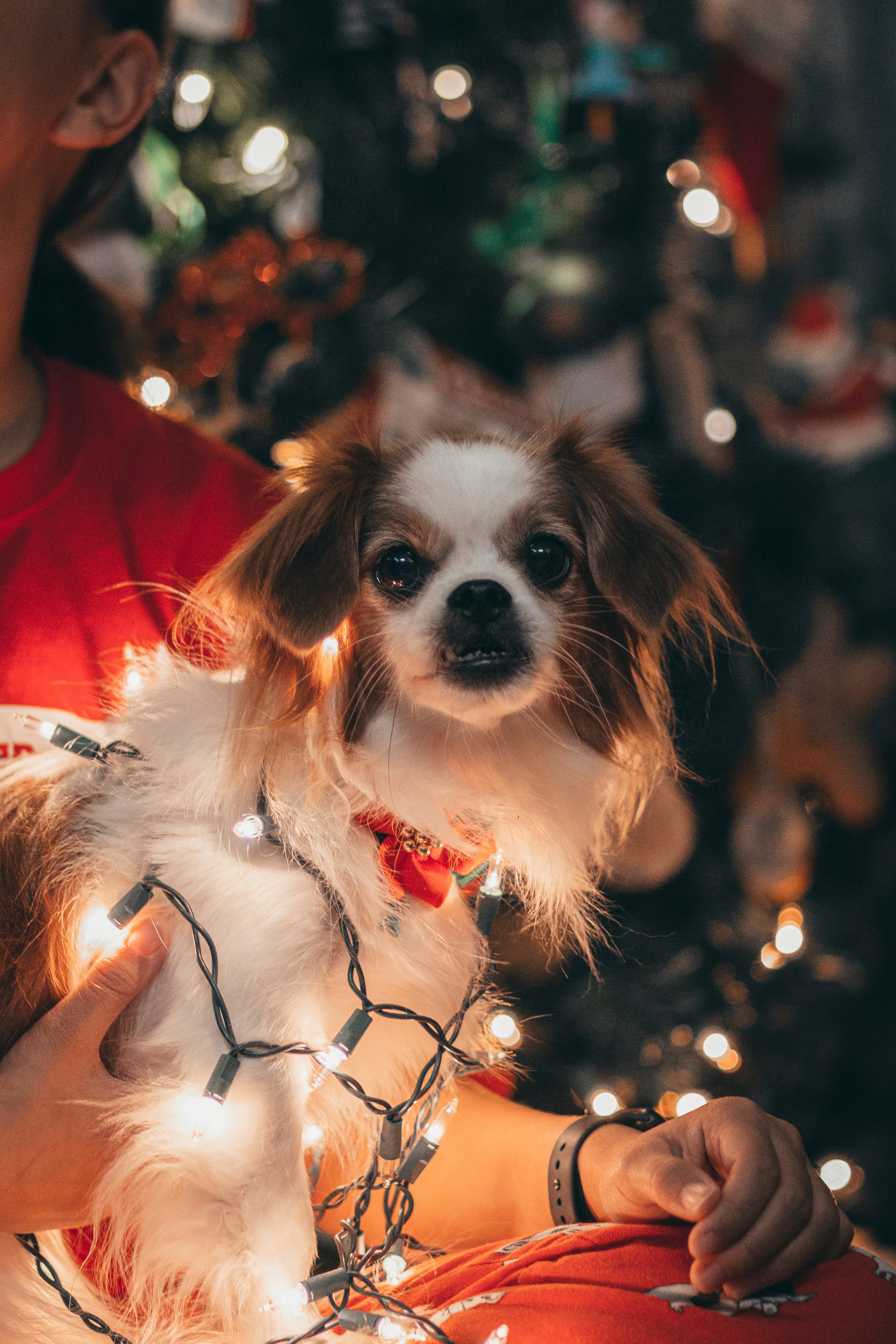 Photo by nathanmortn