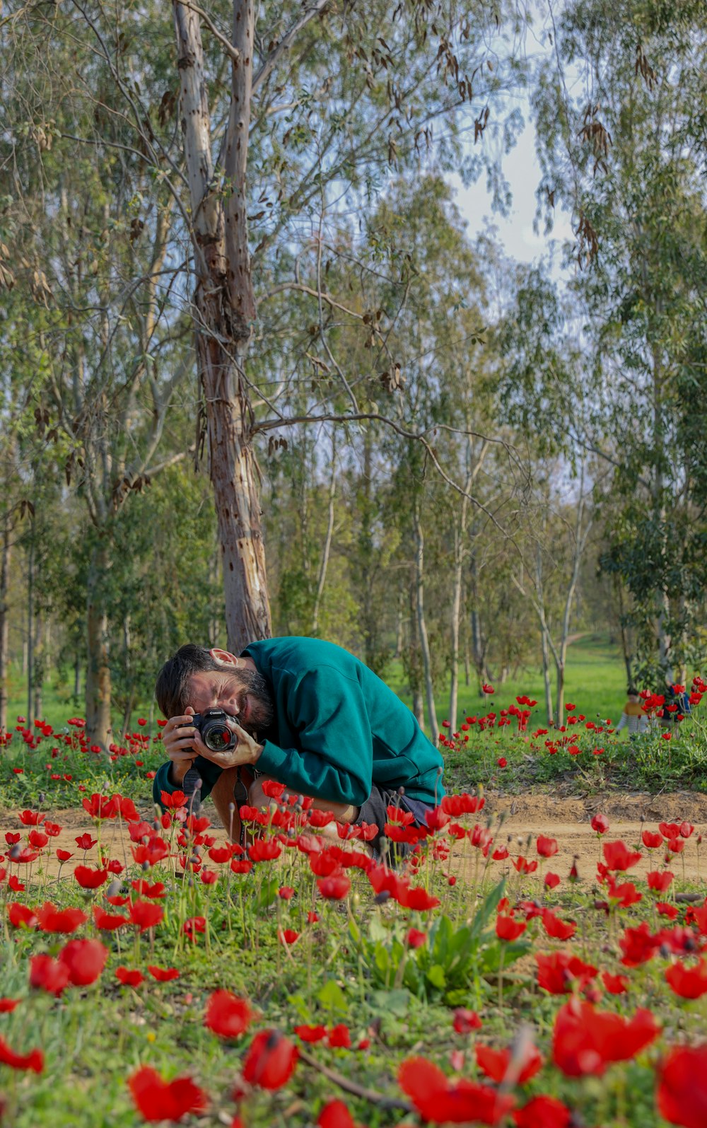man in green hoodie and woman in blue jacket kissing on red flower field during daytime