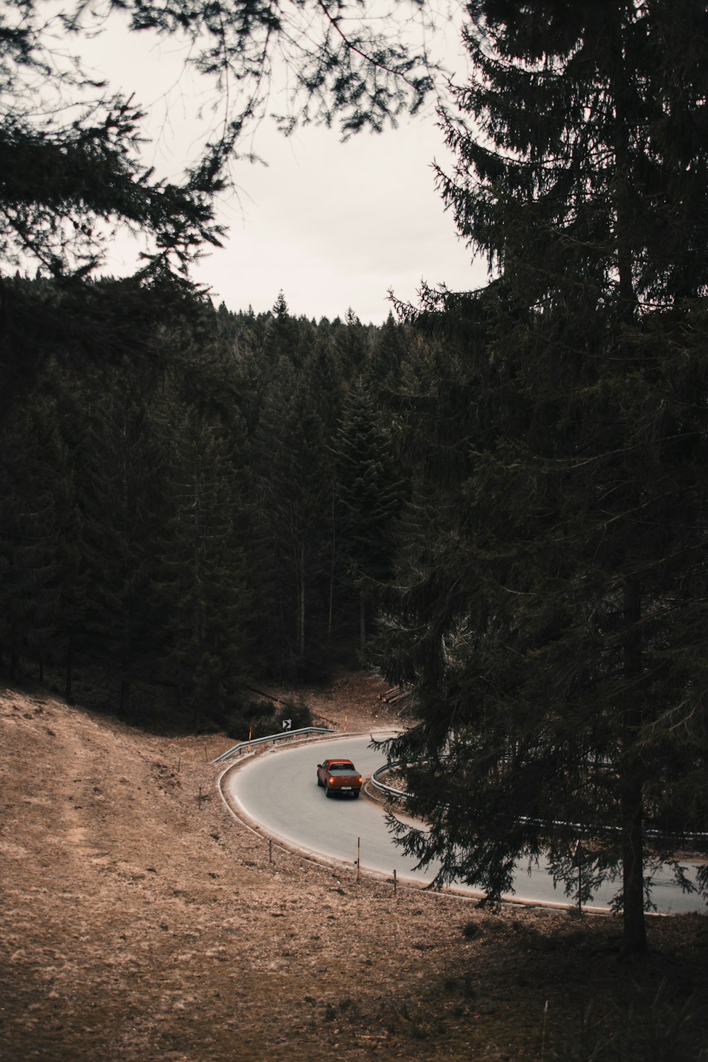 black car on road between trees during daytime