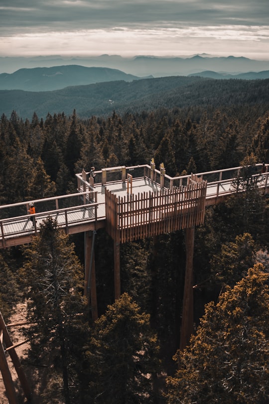 white wooden bridge over green trees during daytime in Rogla Slovenia