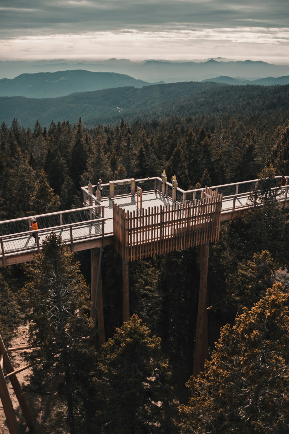 white wooden bridge over green trees during daytime