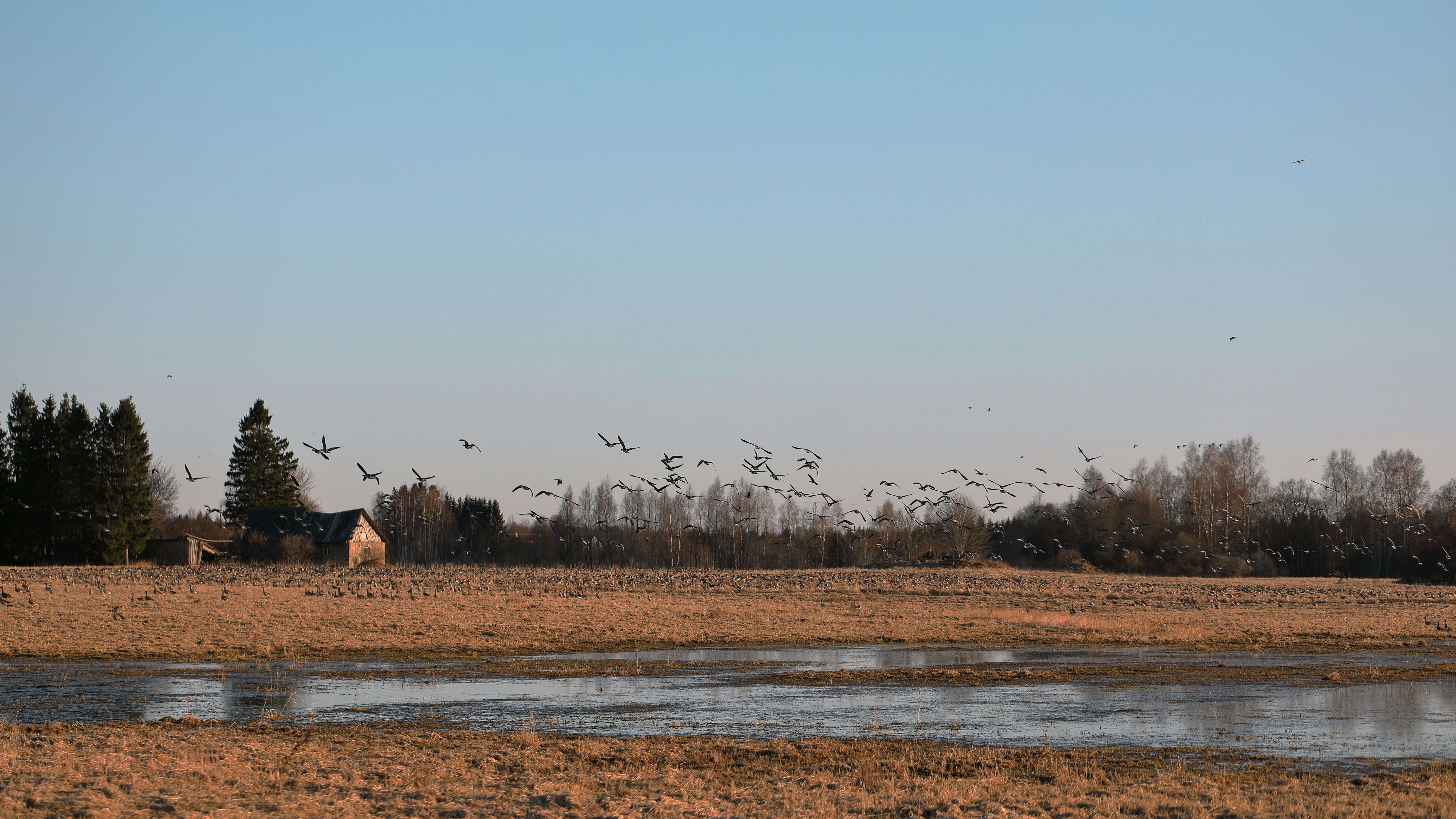 Photo by maksimshutov