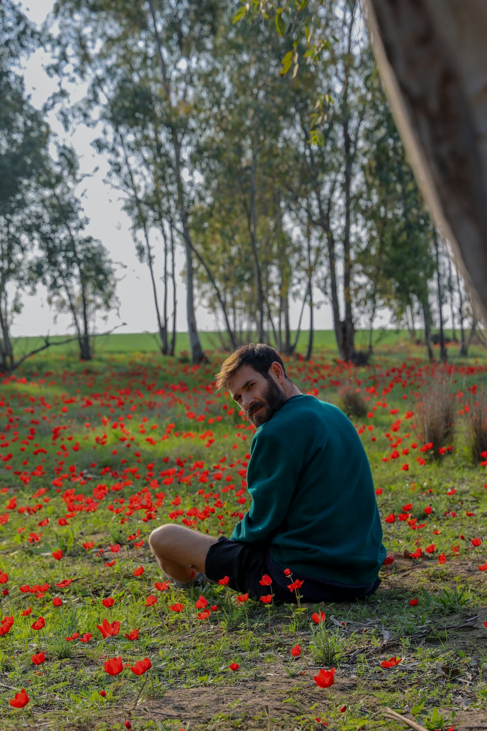 woman in blue long sleeve shirt sitting on red flower field during daytime