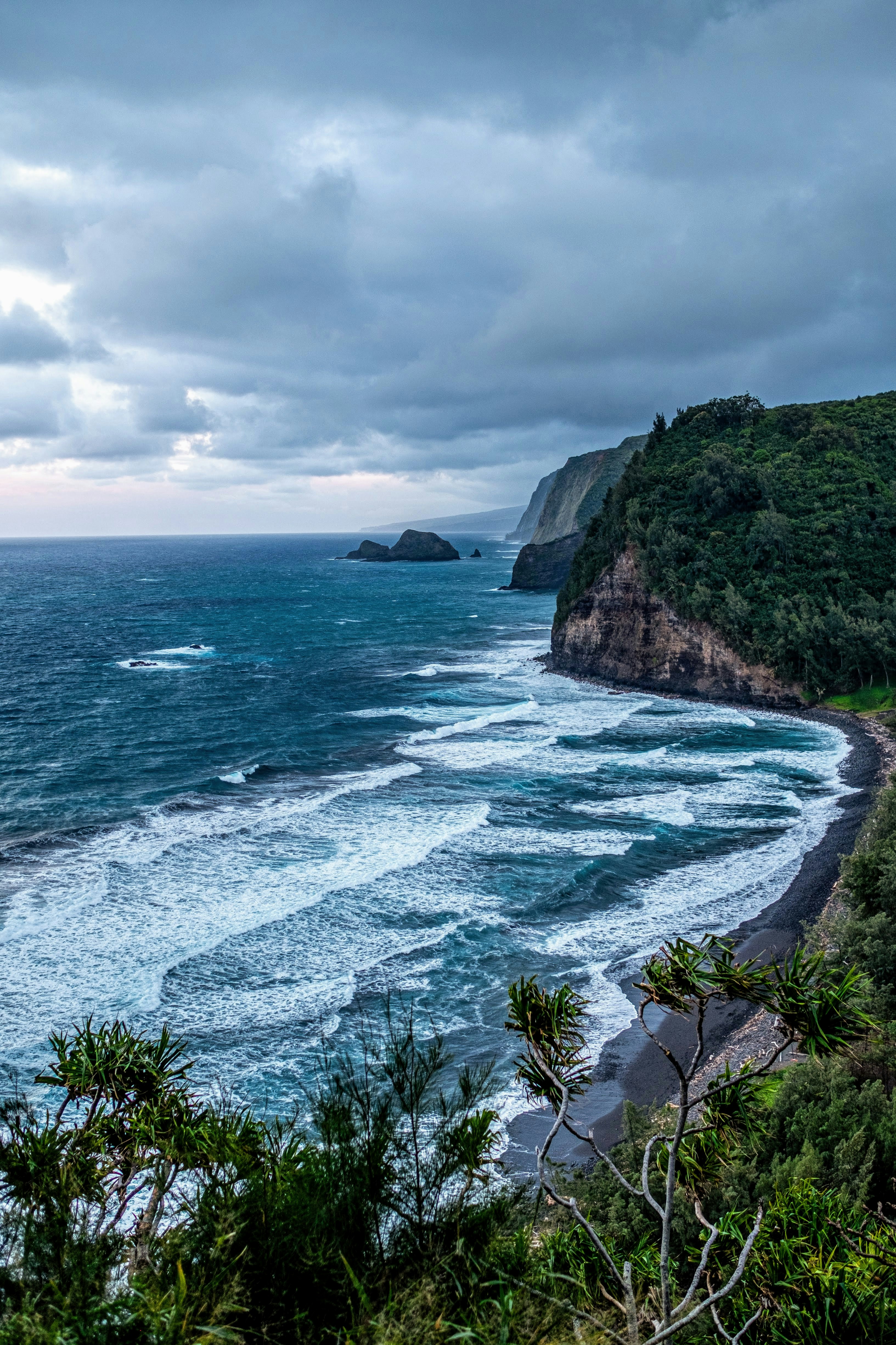 Photo by mikeliaophotography