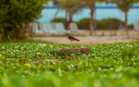 Photo 1582829148219 C3378f6d8a46?q=85&w=275&h=400&fit=crop