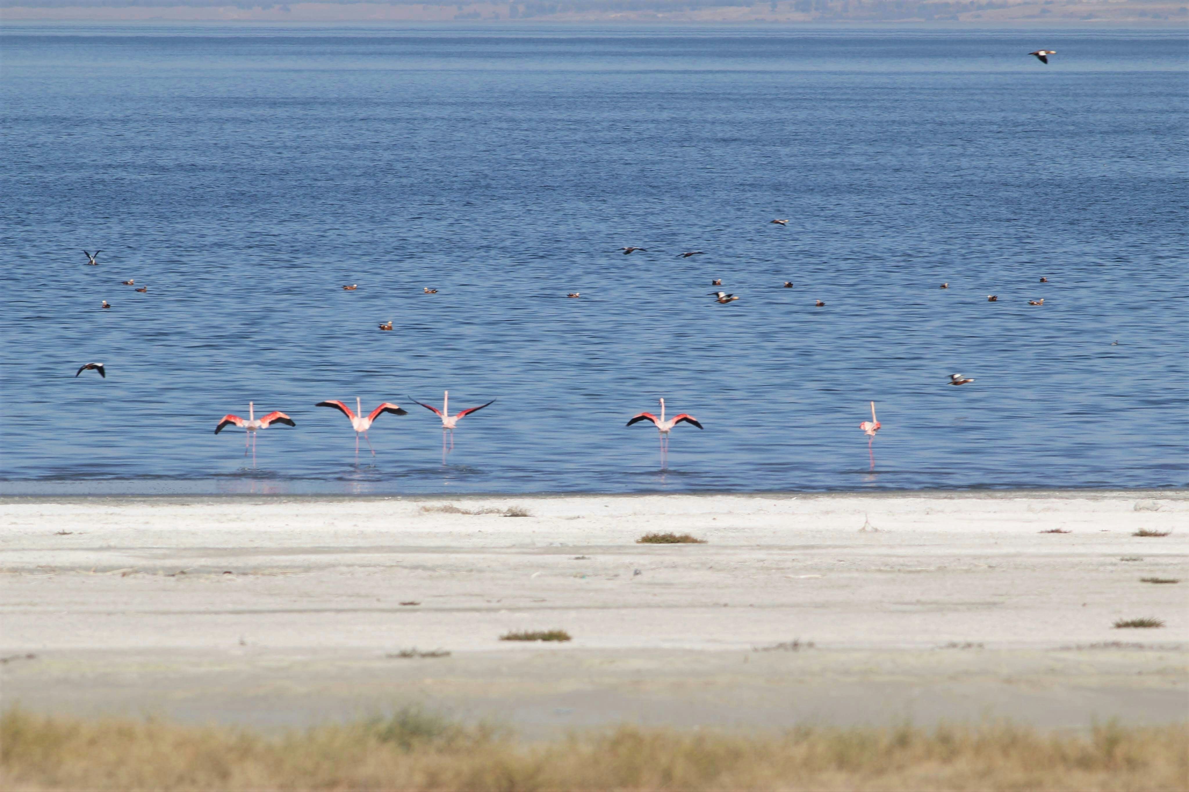 Photo by damlayanduygu