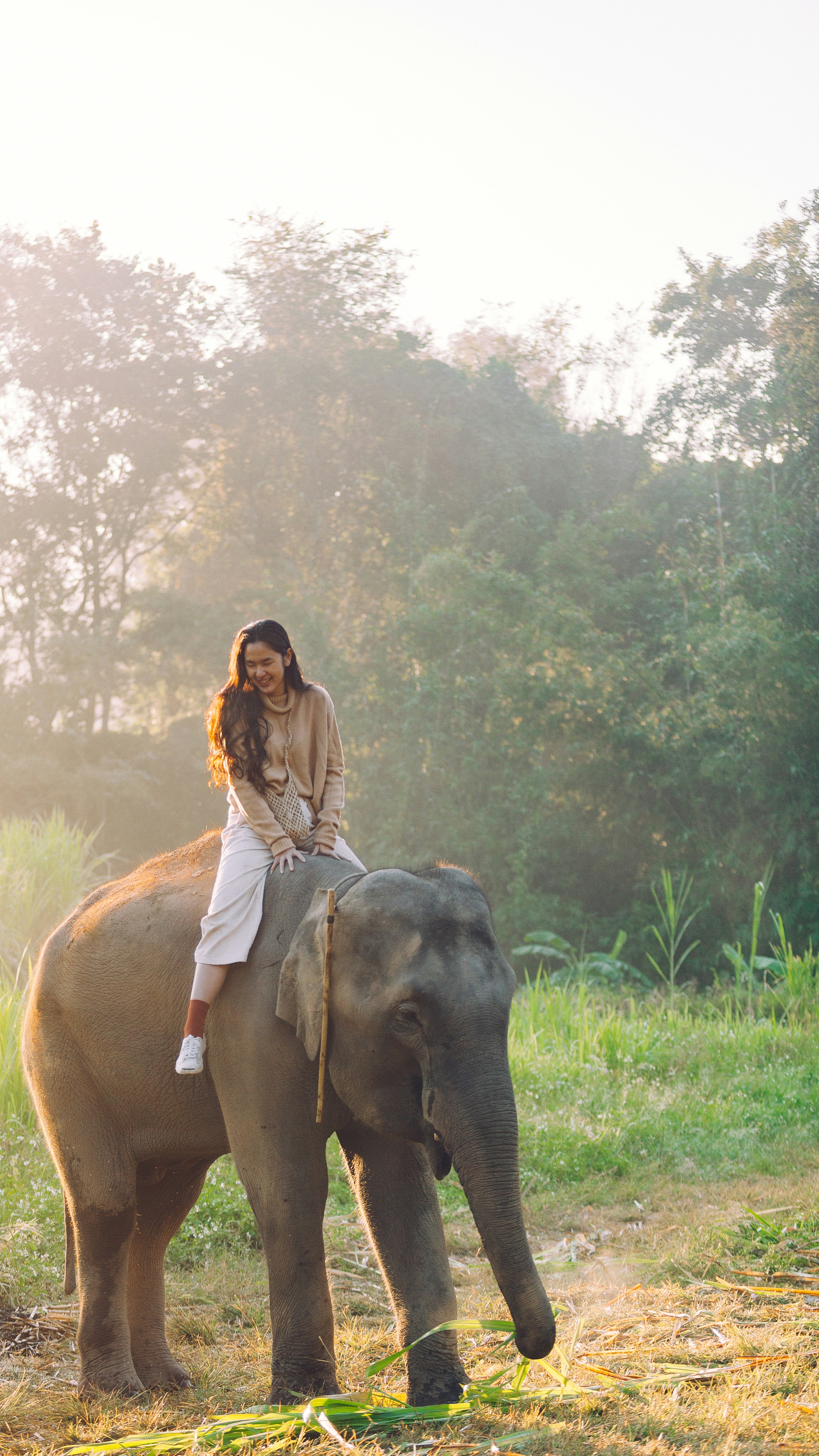 This is to celebrate my 100th photograph posted on Unspalsh. Rest assured this is a very friendly elephant riding. We are not hurting animal in any ways, and we hope you see the beauty of this picture, the connection they make is absolutely an amazing thing.