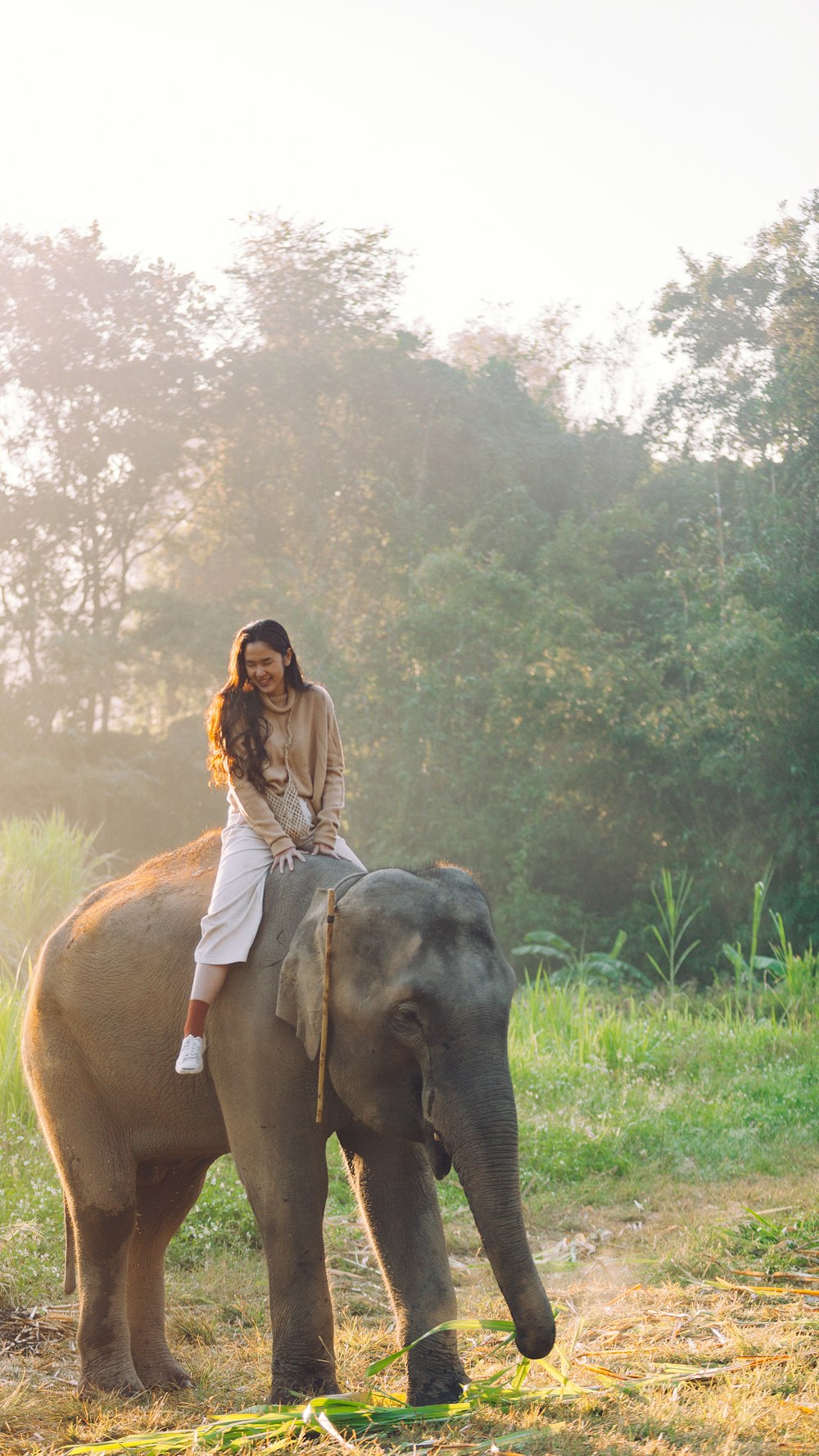 woman riding on black elephant during daytime