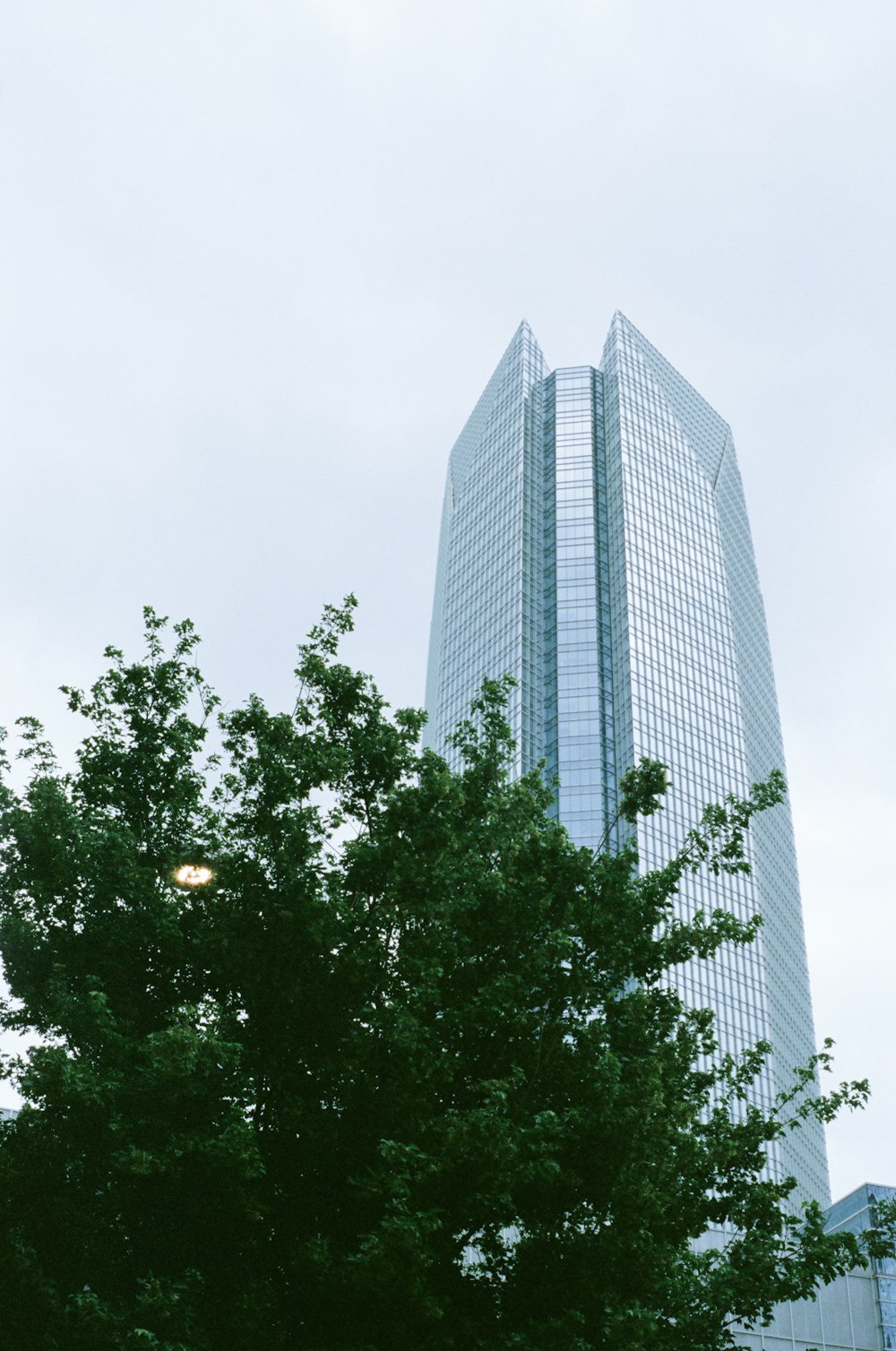 green trees near high rise building during daytime