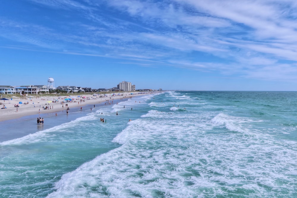 people on beach during daytime