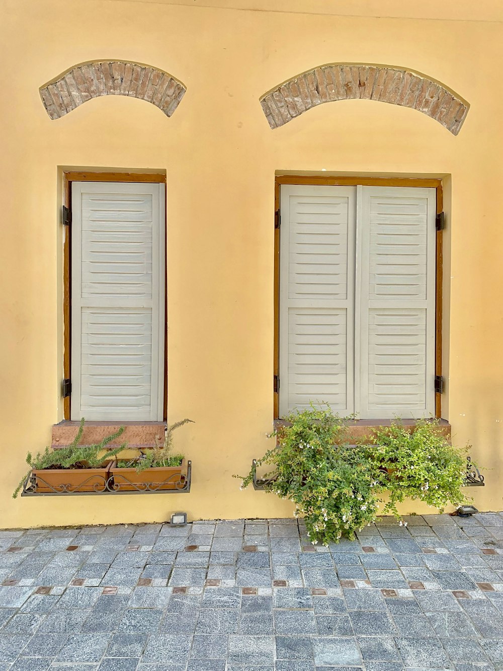 green plants on brown clay pot near white window blinds