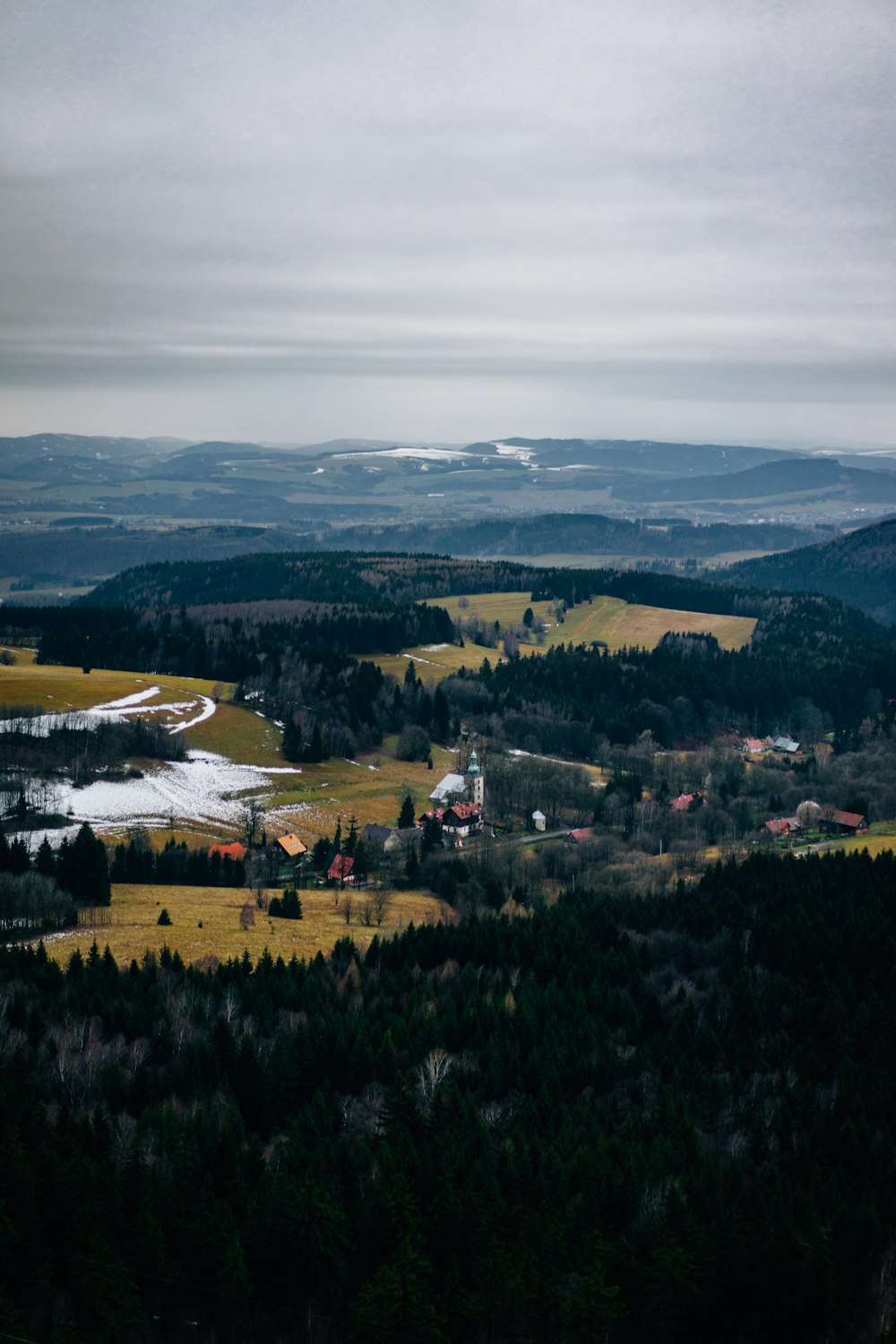 green trees and white snow covered field during daytime