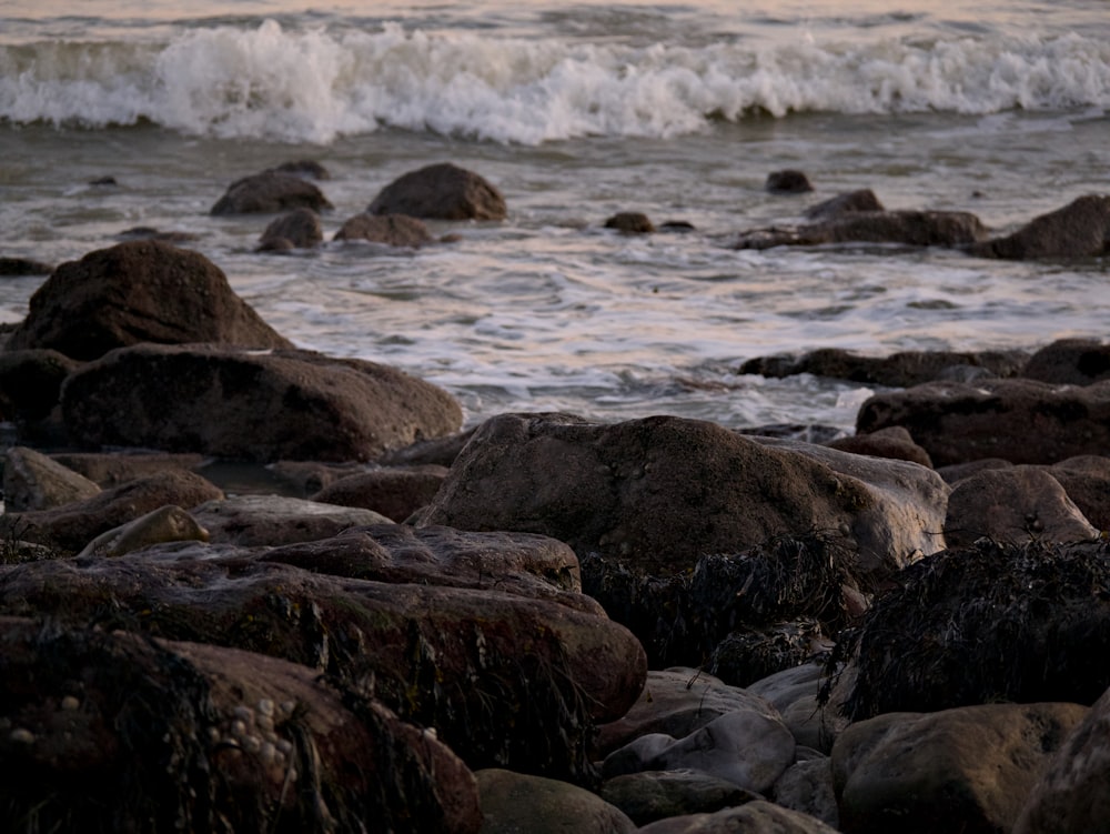 black rocks on seashore during daytime