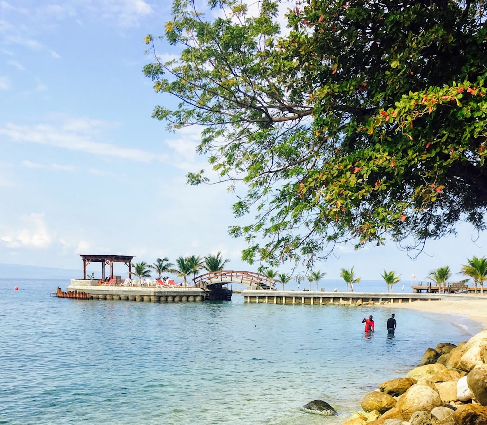 brown wooden dock on body of water during daytime