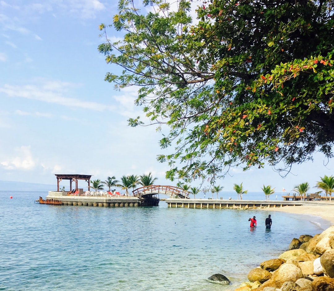 American Airlines Resumes Haiti Flights Navigating Challenges in a… — American Airlines Resumes Haiti Flights Navigating