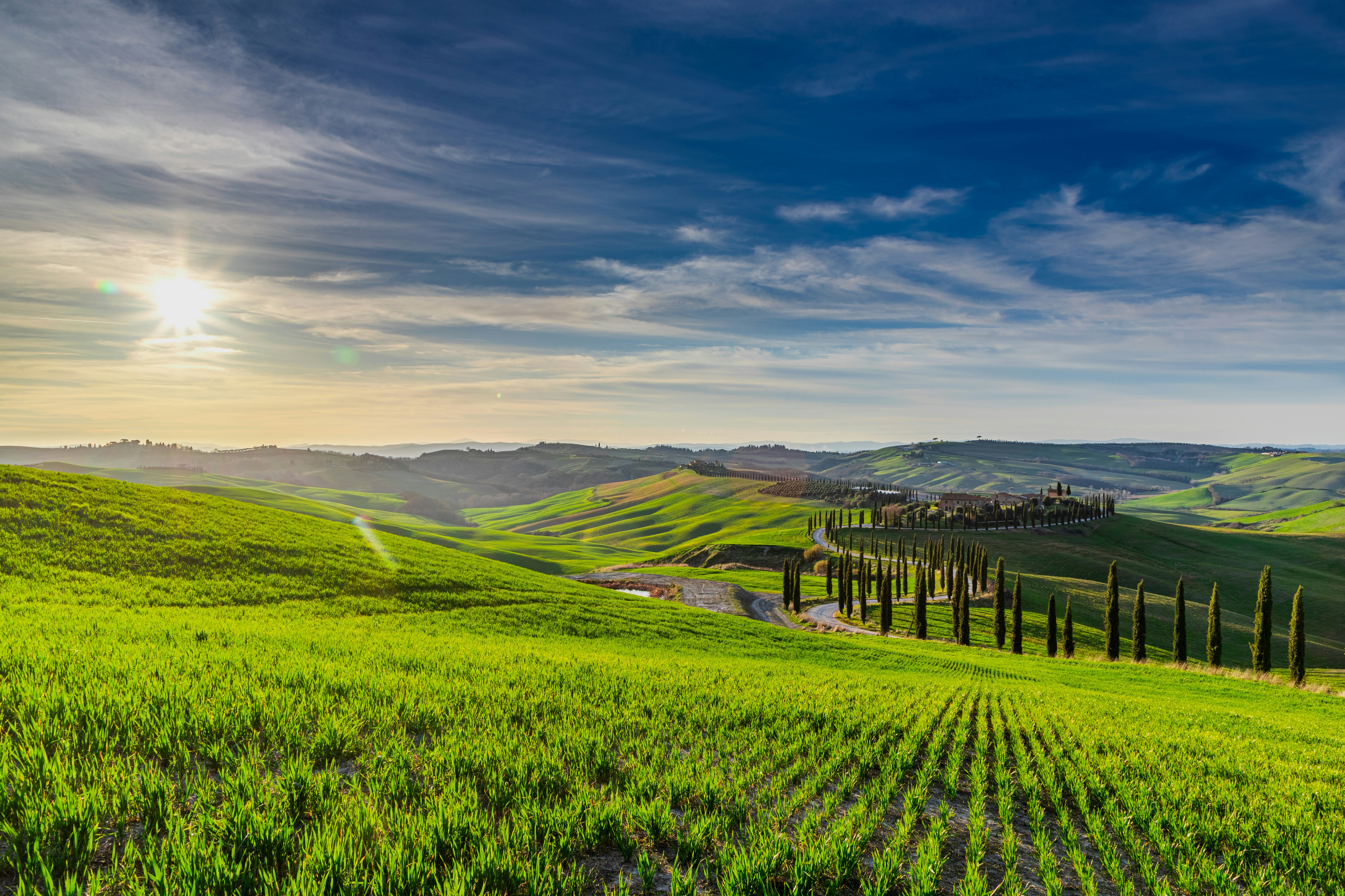 Photo by markophotography