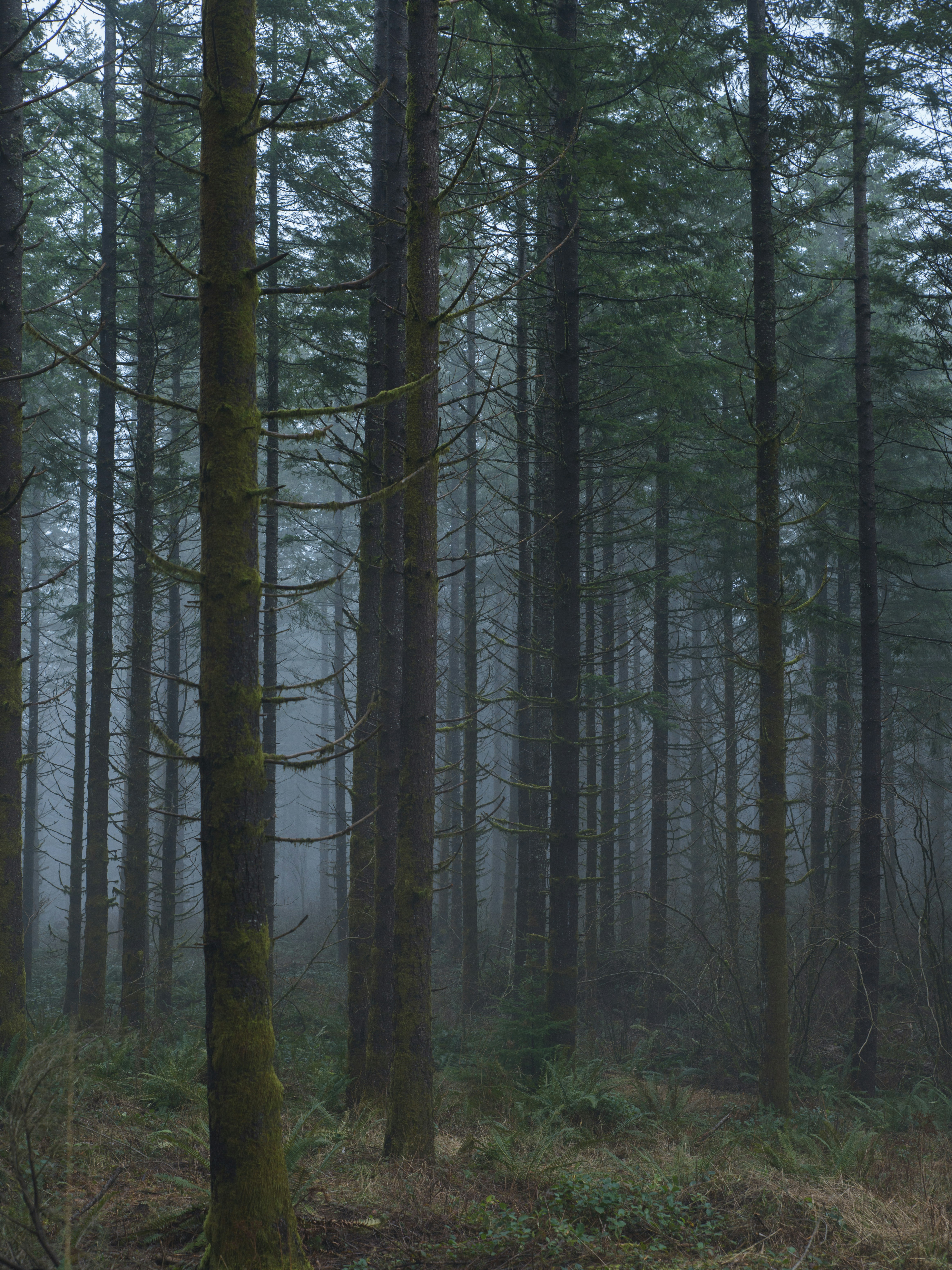 Photo by chamomileboi