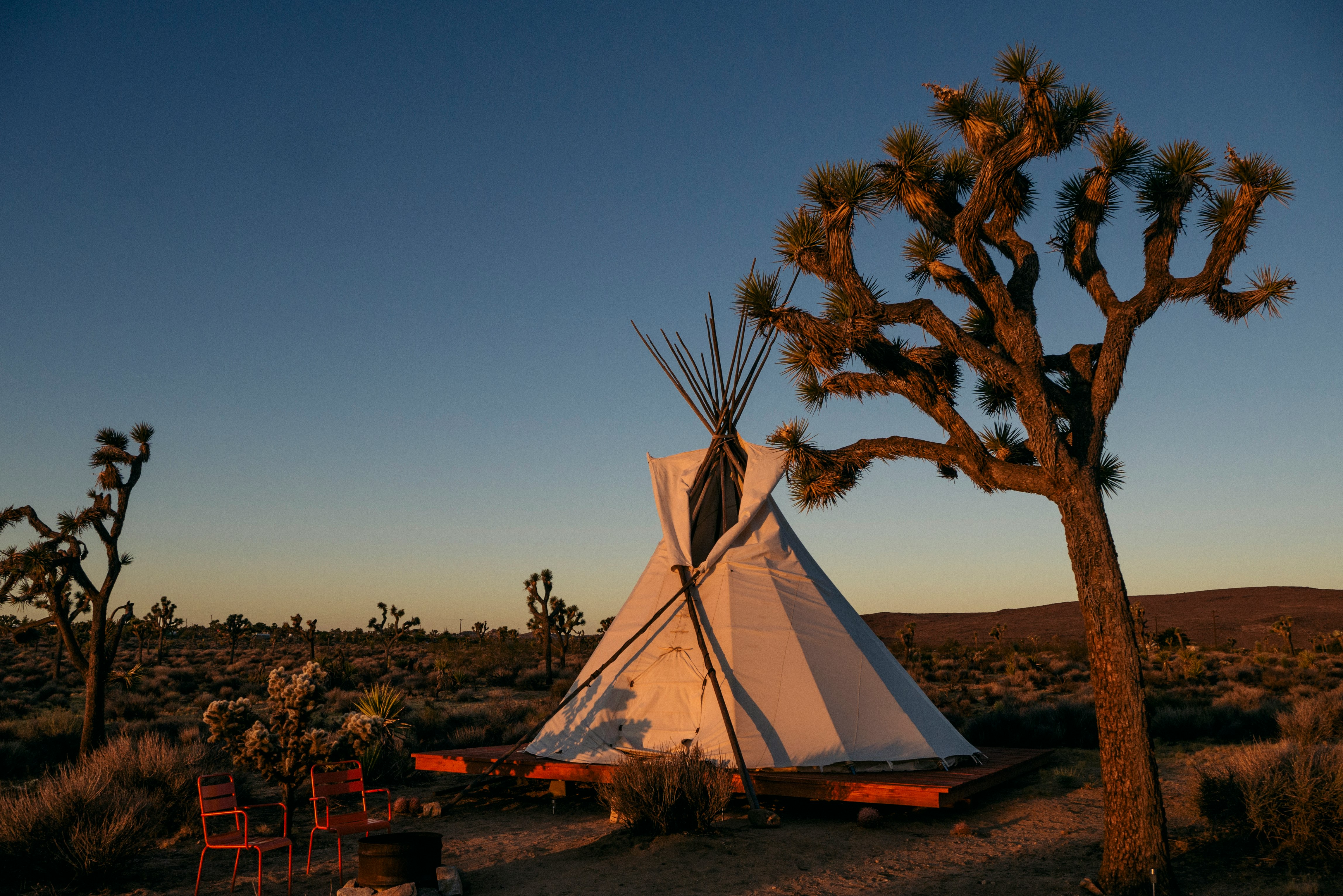 white tent on brown field during sunset