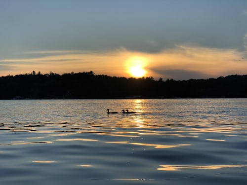  top 10 fishing lakes in minnesota