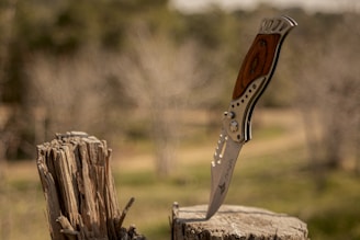 A folding knife with a wooden handle is embedded into a weathered tree stump. The knife has a stainless steel blade with a partially serrated edge and a star emblem. The background is blurred, consisting of a natural outdoor setting with trees and grass.
