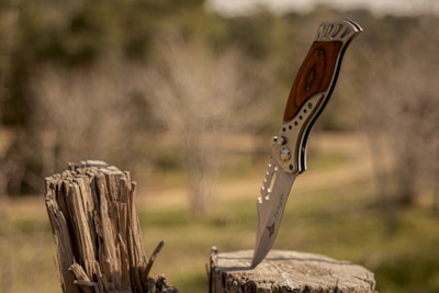 A folding knife with a wooden handle is embedded into a weathered tree stump. The knife has a stainless steel blade with a partially serrated edge and a star emblem. The background is blurred, consisting of a natural outdoor setting with trees and grass.