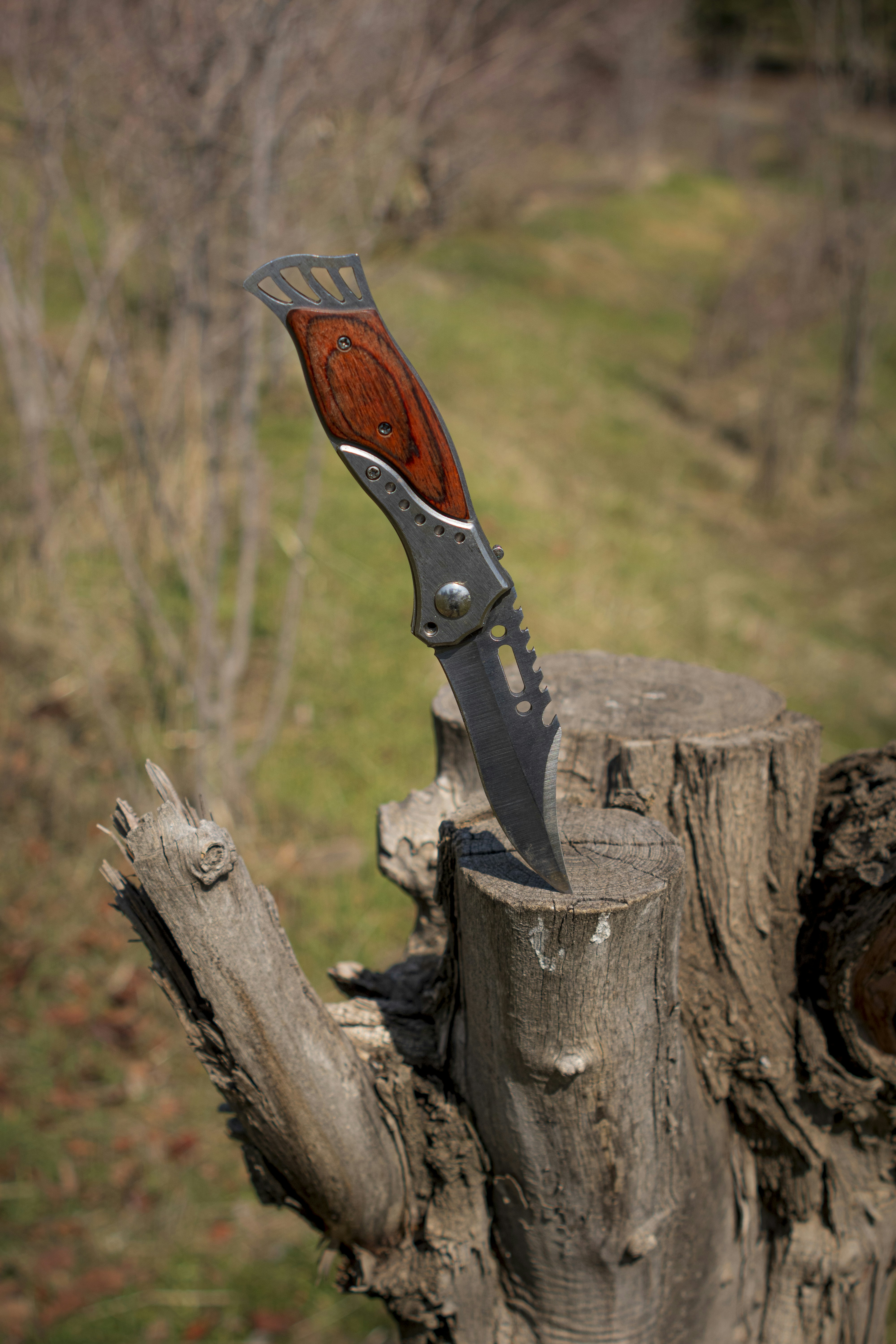 photo 1582843116792 c55de8e1d5c0?ixlib=rb 4.0