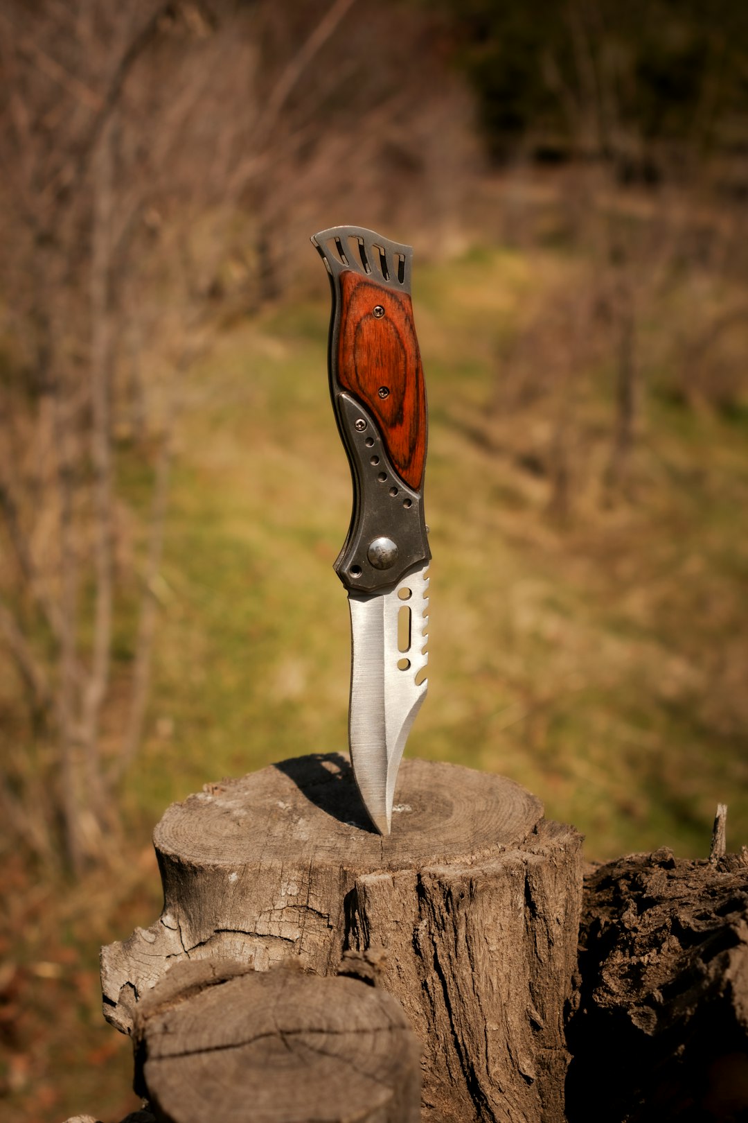 brown and silver knife on brown log