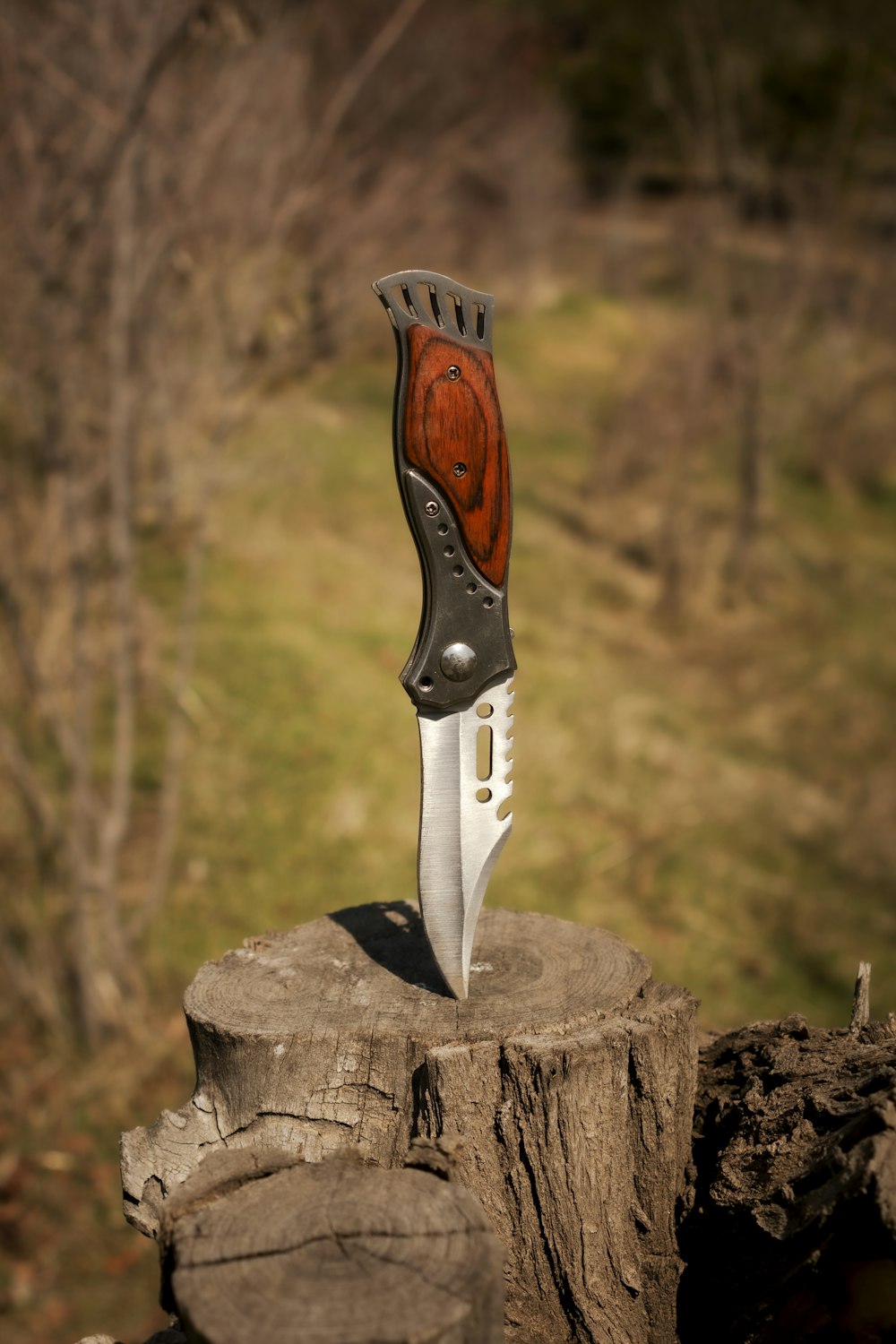 brown and silver knife on brown log