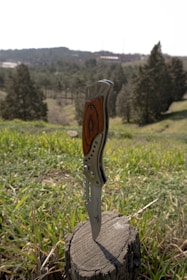 A folding knife with a wooden handle and metallic blade is embedded vertically in a tree stump. The stump is situated in a grassy field, with a backdrop of rolling hills and scattered trees under a clear sky.