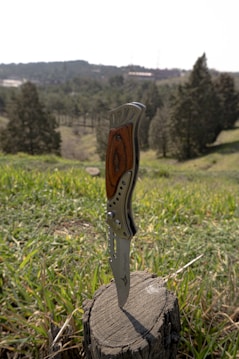A folding knife with a wooden handle and metallic blade is embedded vertically in a tree stump. The stump is situated in a grassy field, with a backdrop of rolling hills and scattered trees under a clear sky.
