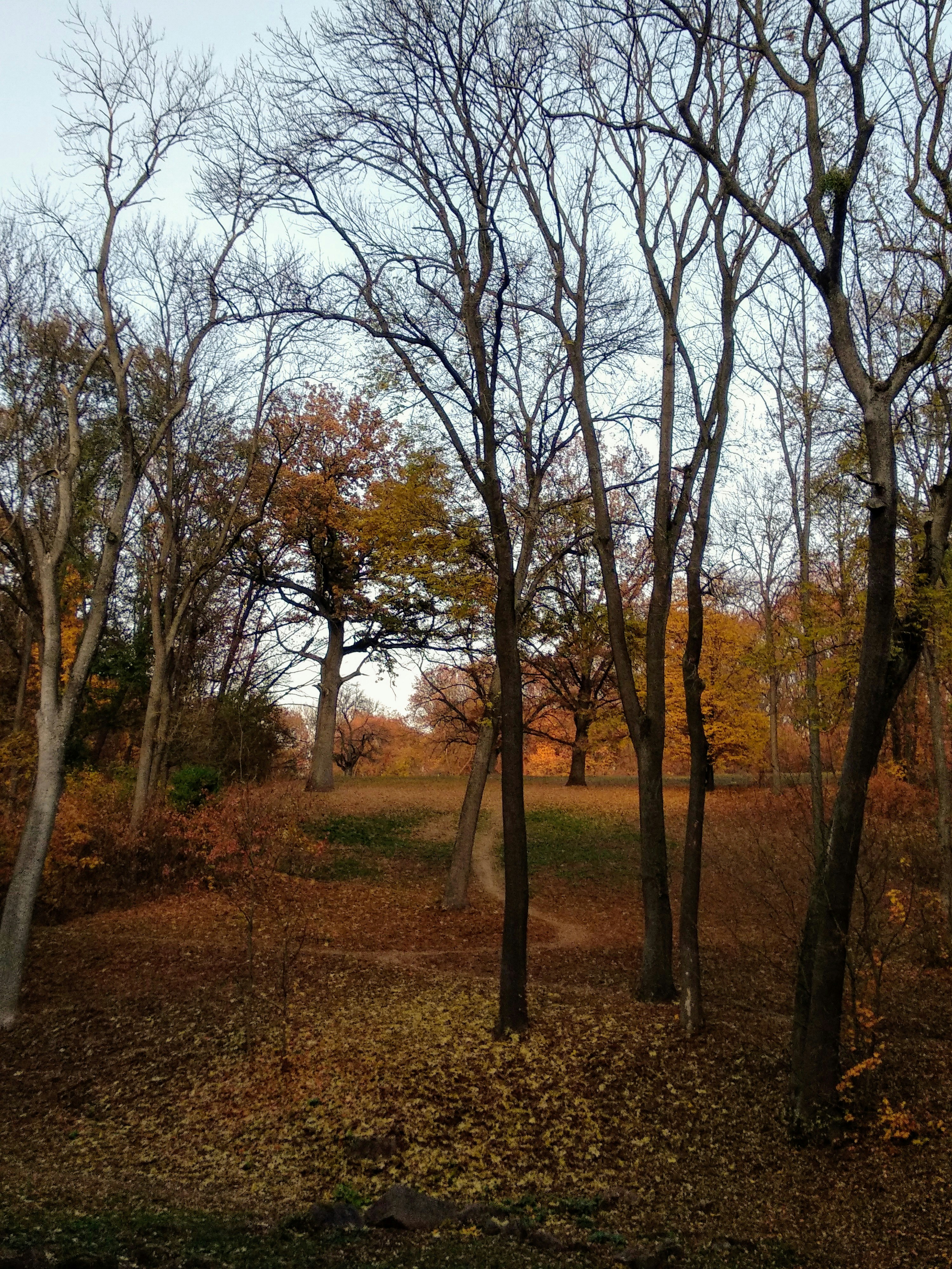 Photo by evgeniyreva