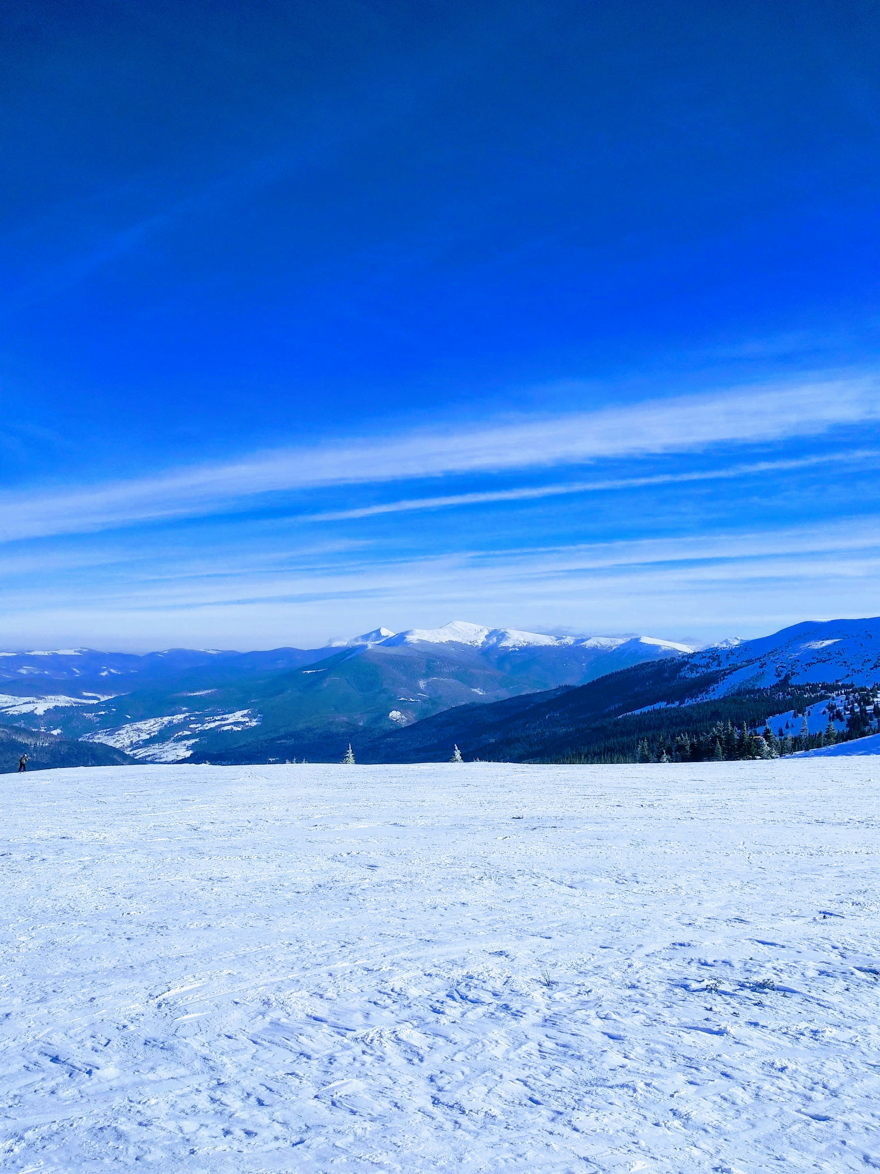 Photo by evgeniyreva