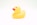yellow rubber duck on white background