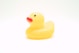 yellow rubber duck on white background