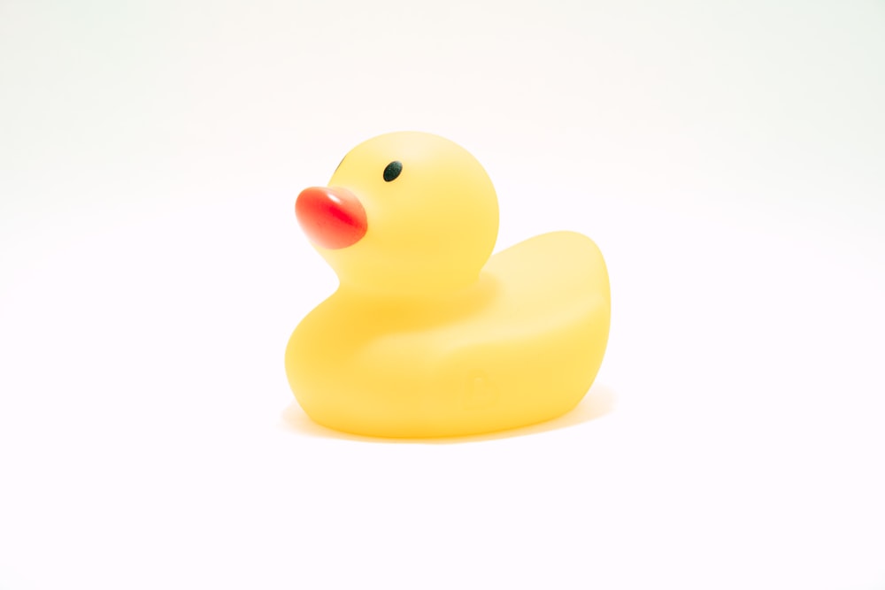 yellow rubber duck on white background