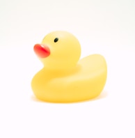 yellow rubber duck on white background