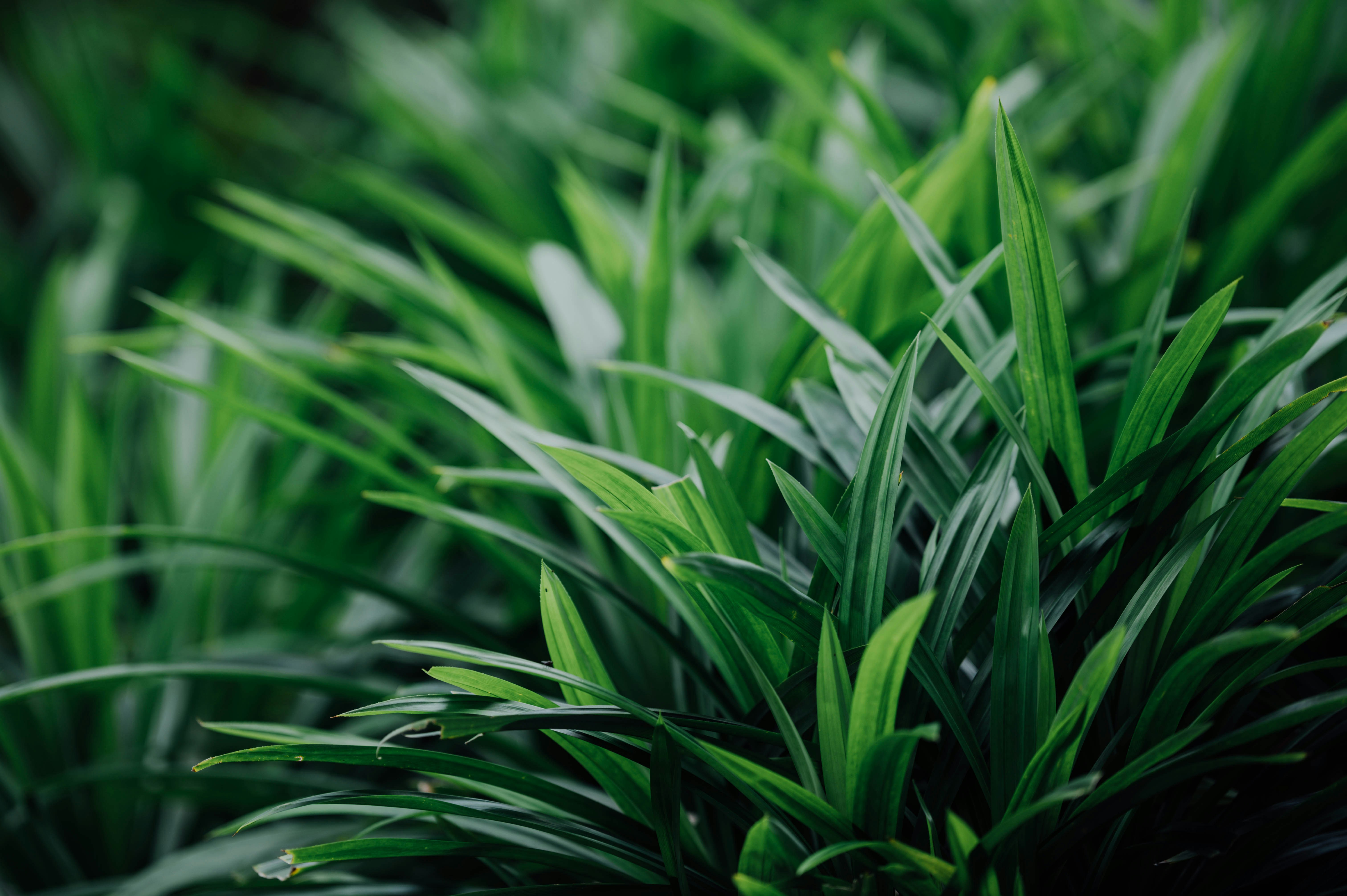 Photo by chuttersnap