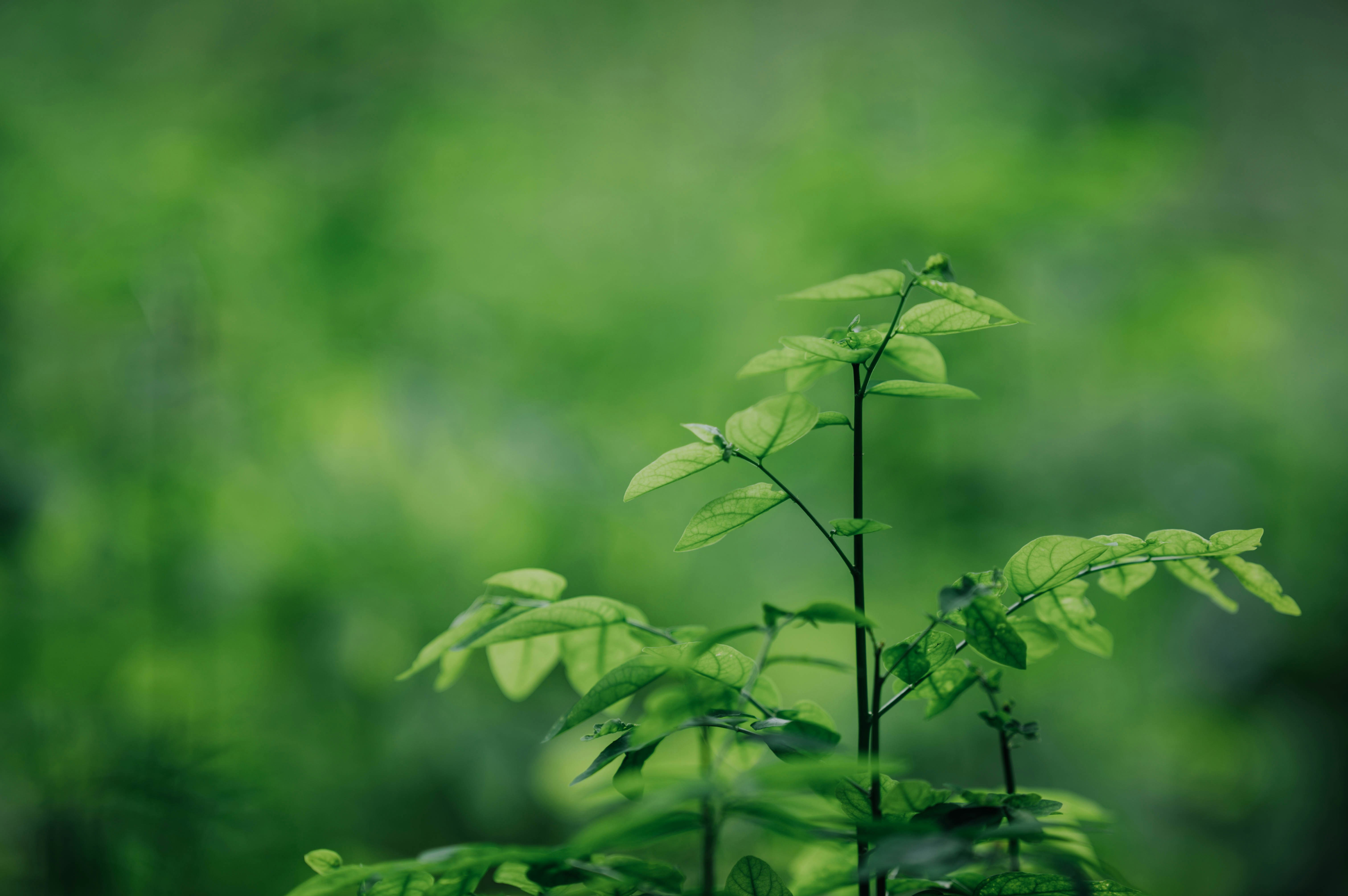 Photo by chuttersnap