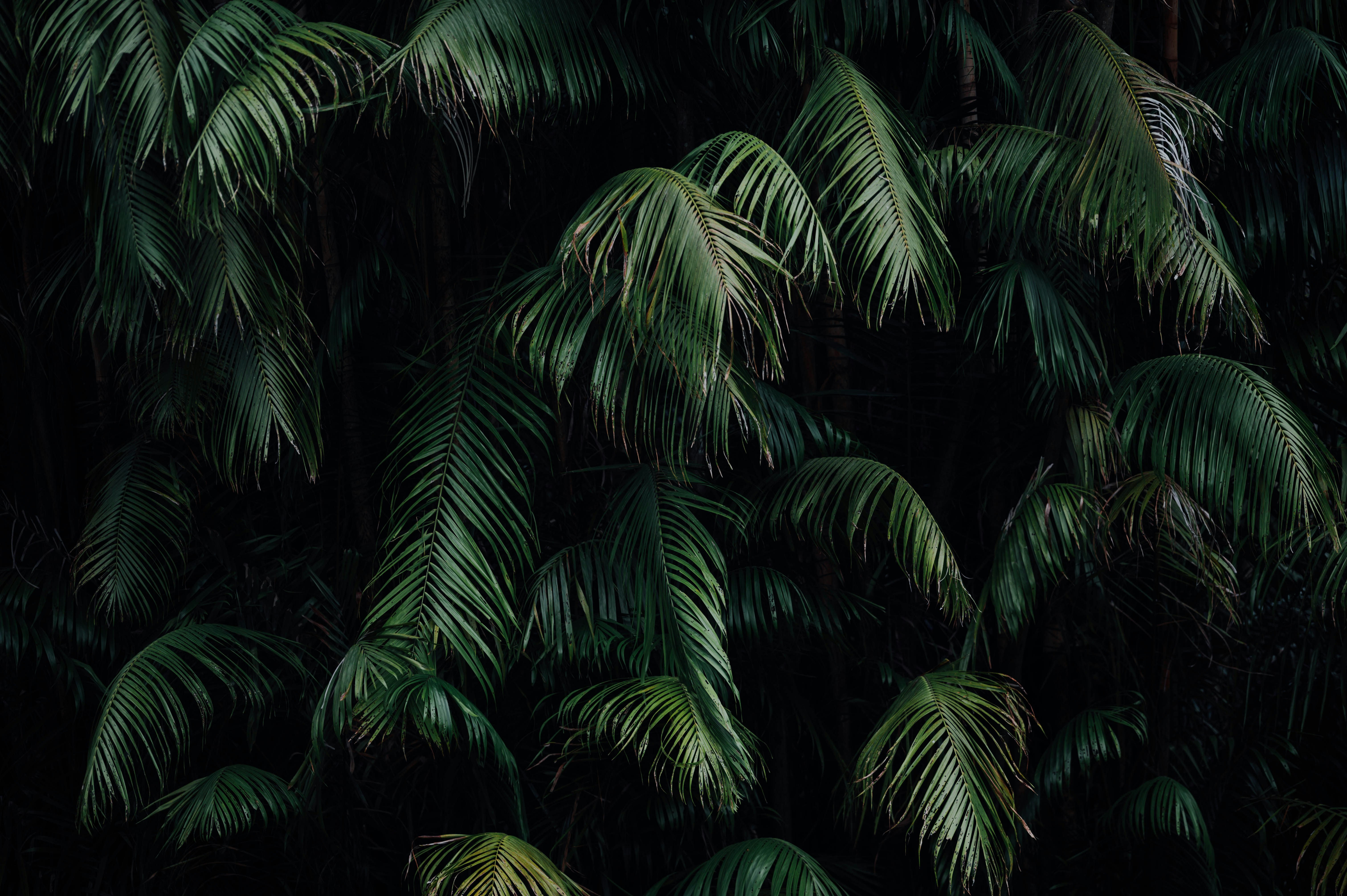 Photo by chuttersnap